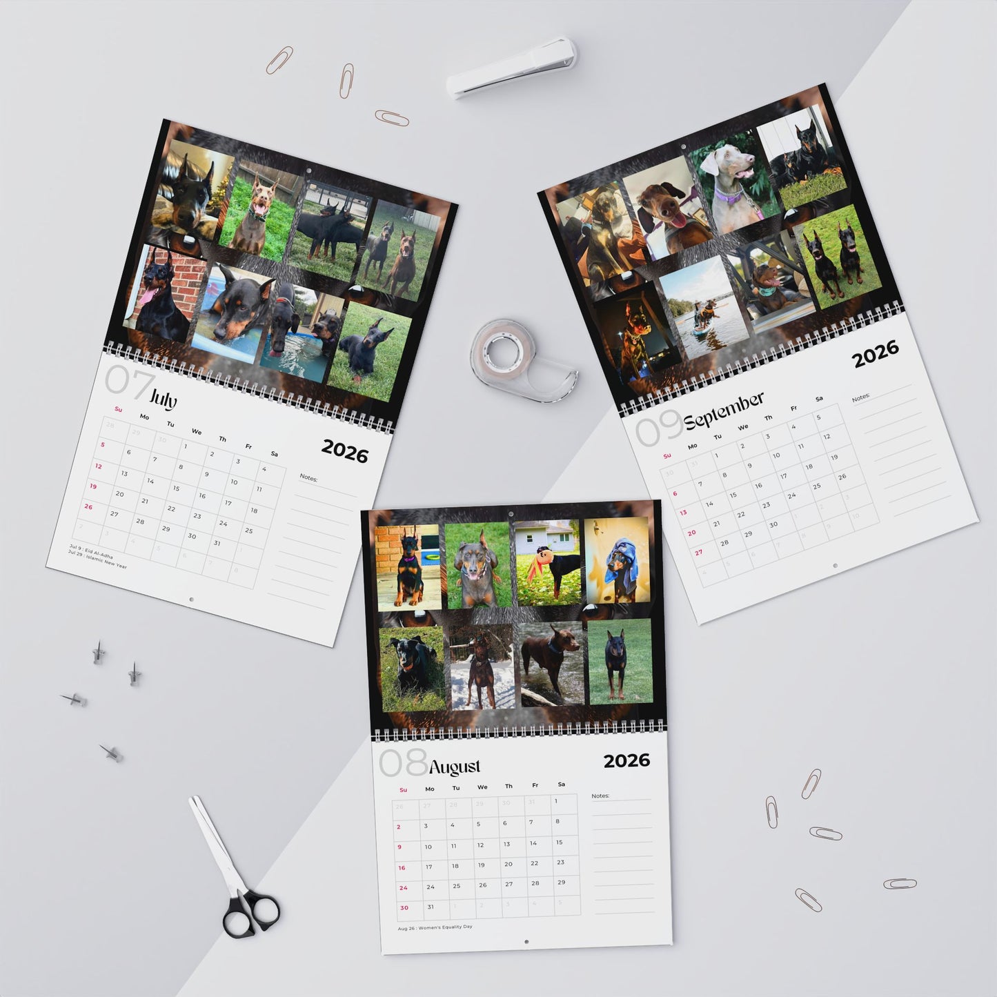 Edition 14 2026 Doberman Calendars