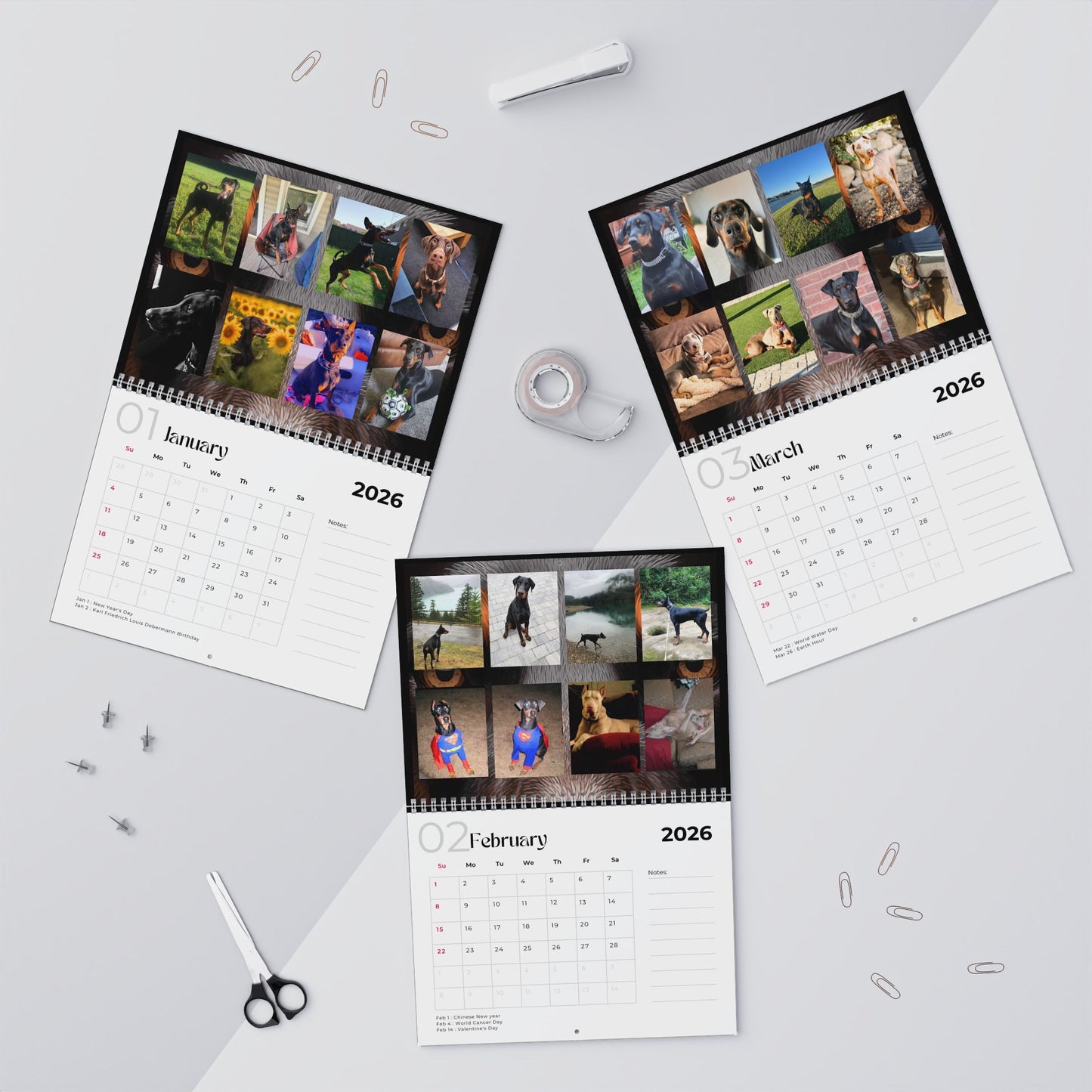 Edition 33 2026 Doberman Calendars