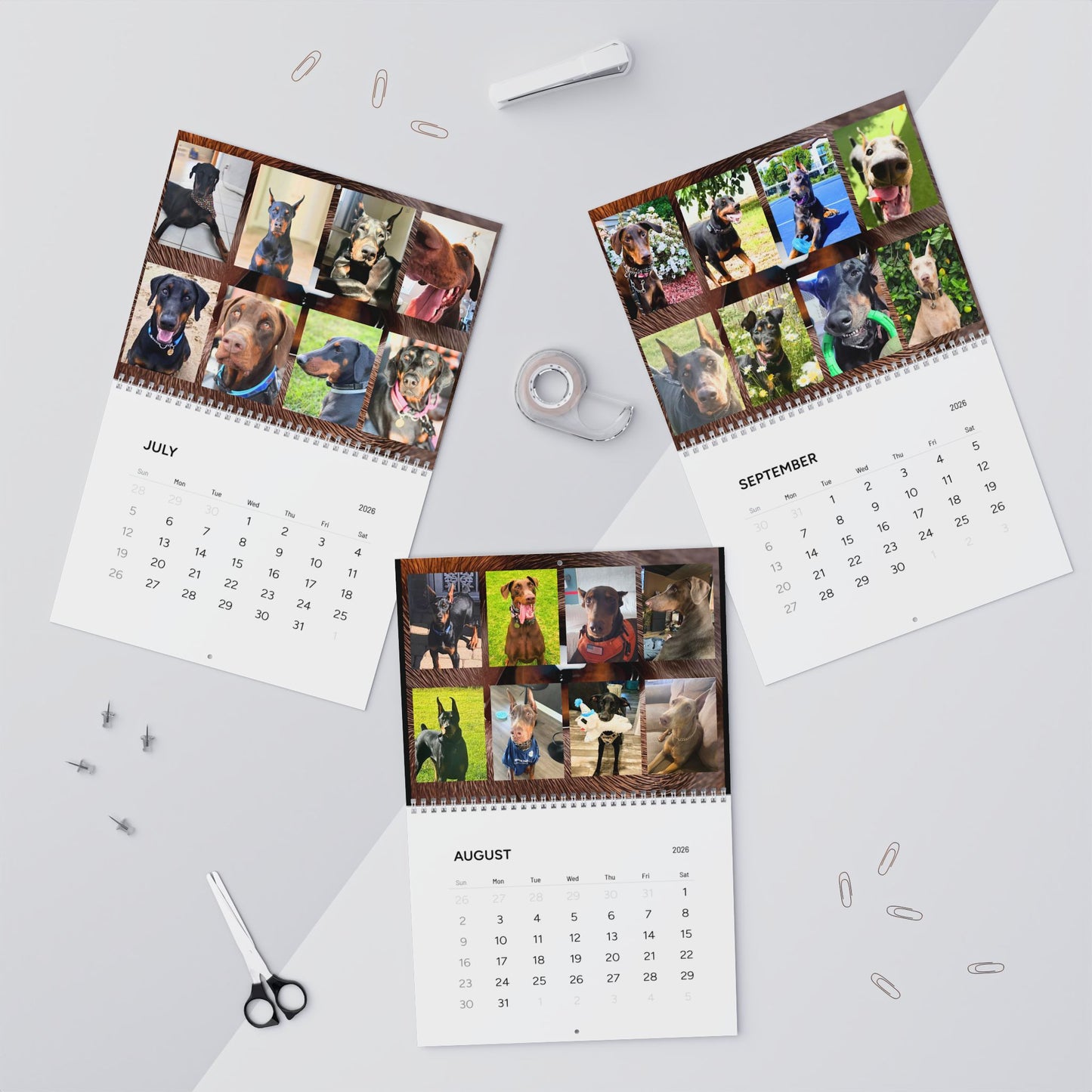 Doberman Edition 7  Wall Calendar 2026