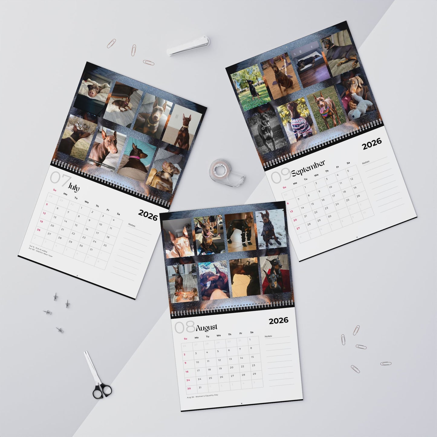 Edition 23 2026 Doberman Calendars