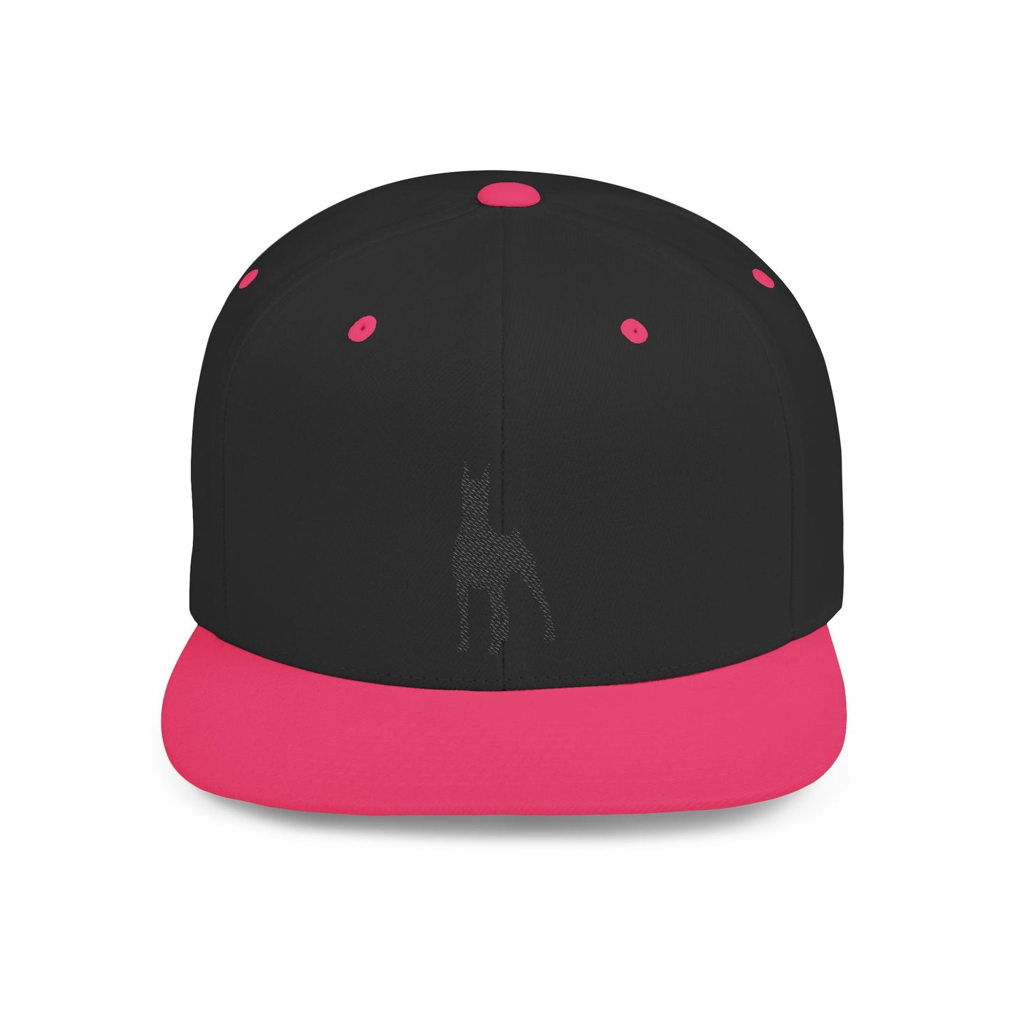 Silhouette 1 Embroidered Flat Bill Snapback