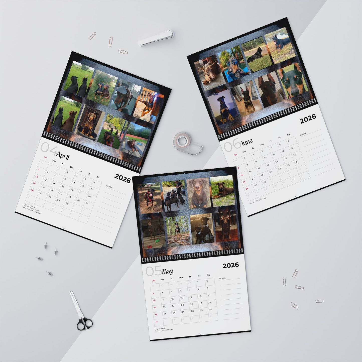 Edition 20 2026 Doberman Calendars