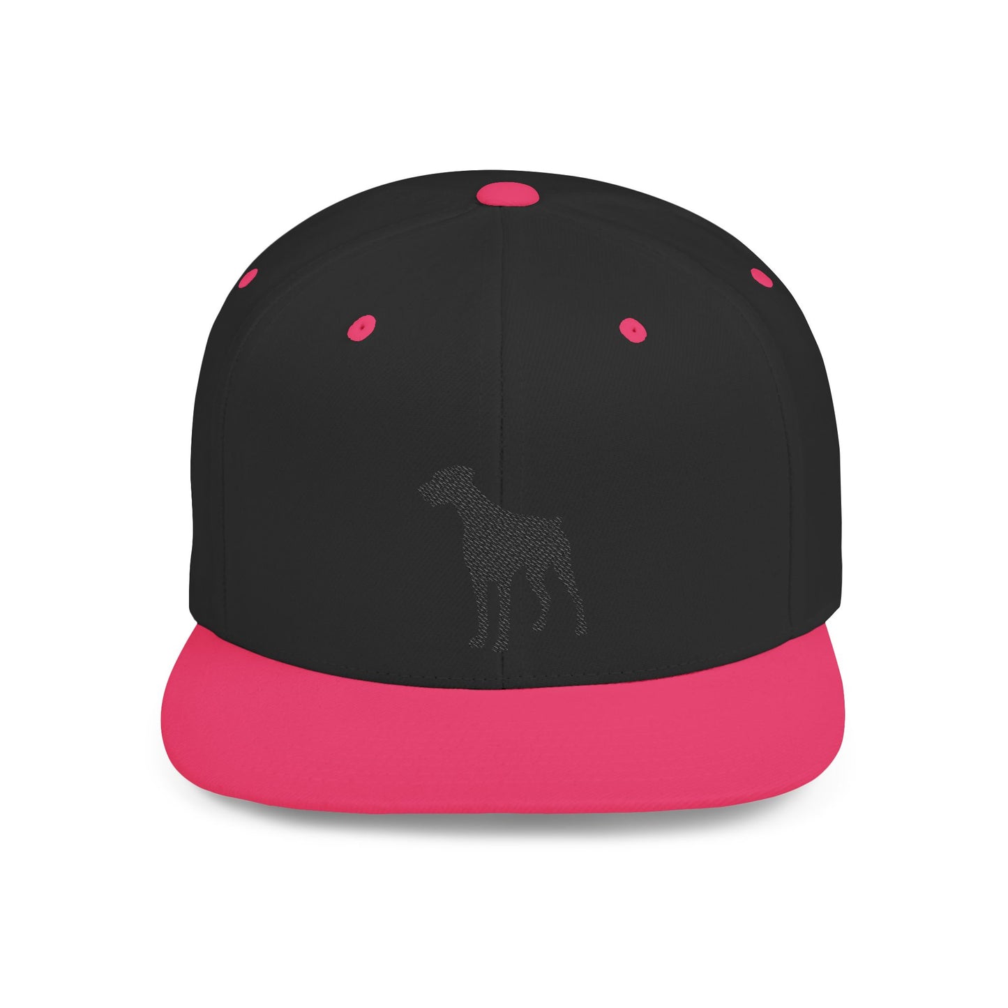 Silhouette 2 Embroidered Flat Bill Snapback