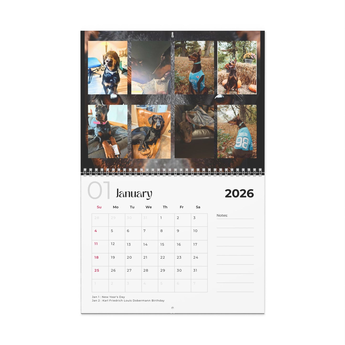 Edition 14 2026 Doberman Calendars
