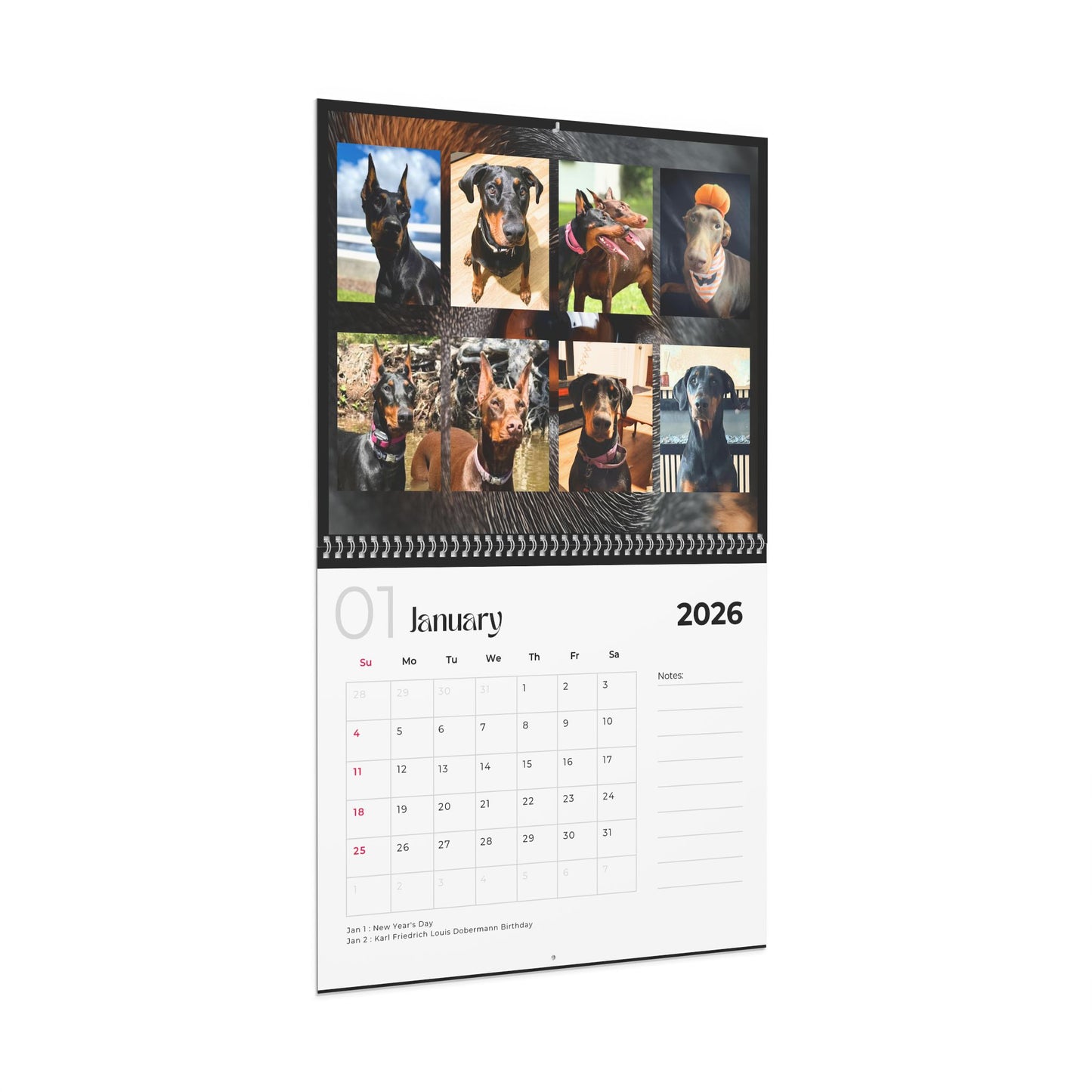 Edition 4 2026 Doberman Calendars