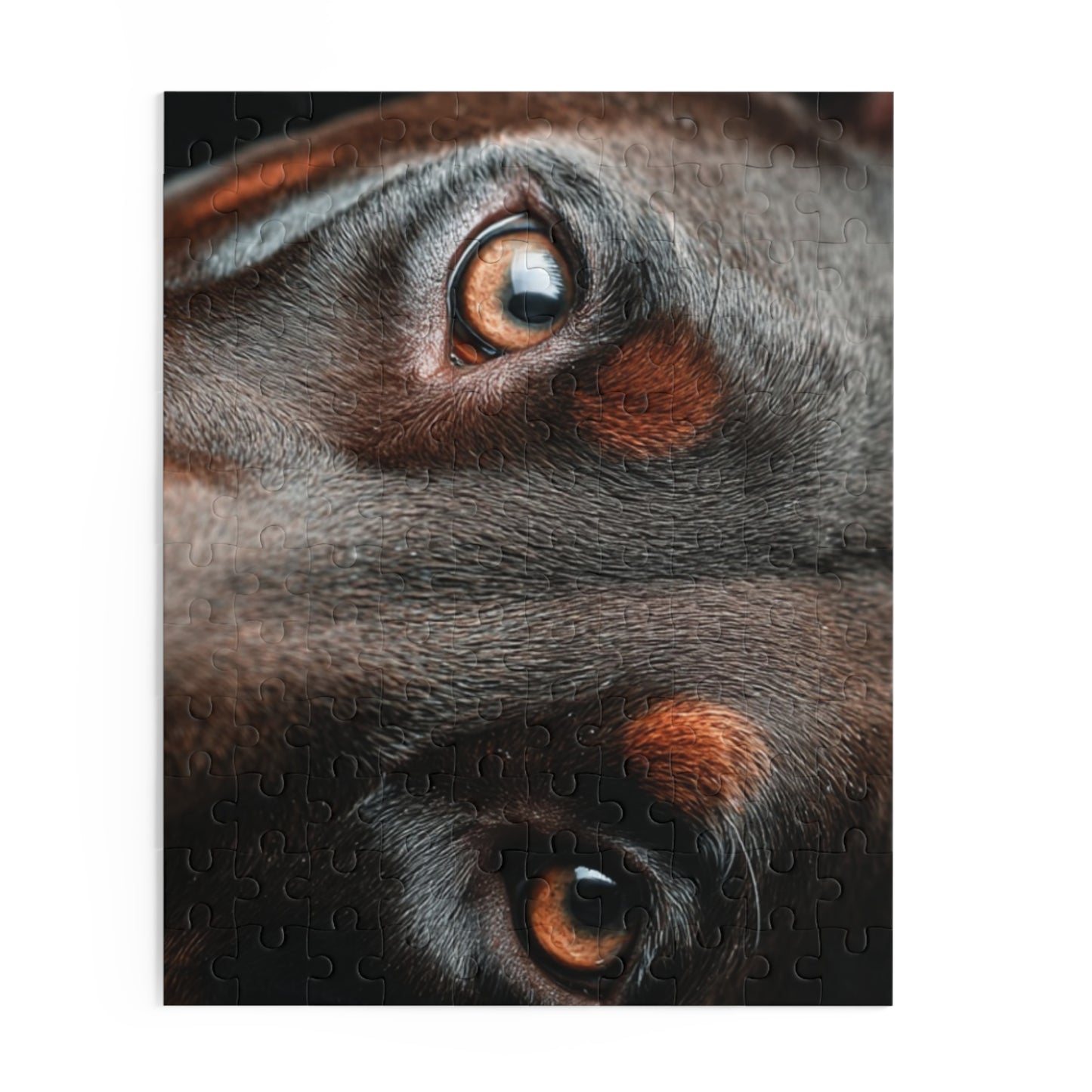 Human Mental Stimulation 5 Puzzle Black Lab Portrait Puzzle 1 Jigsaw (120/252/500 Pieces)