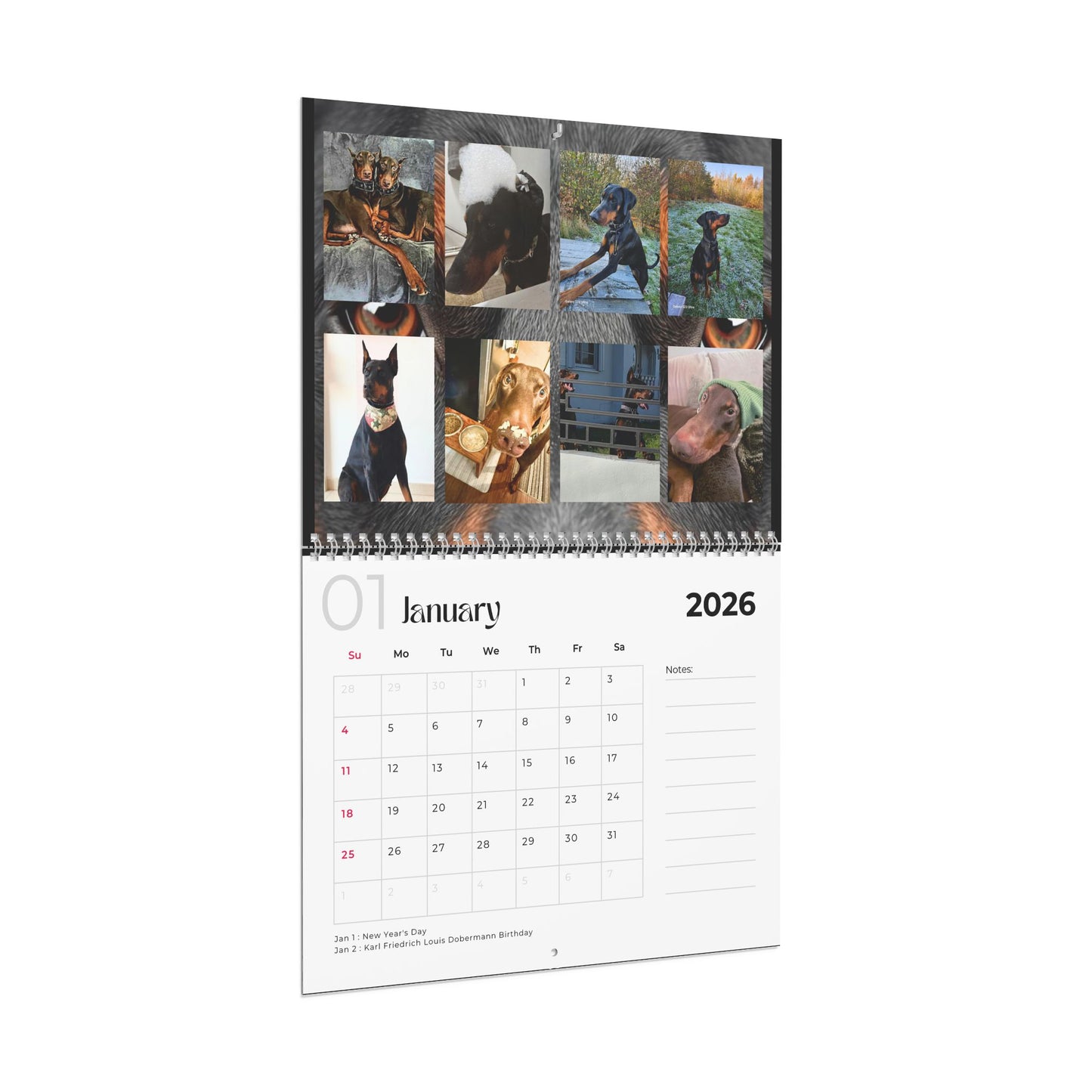 Edition 29 2026 Doberman Calendars