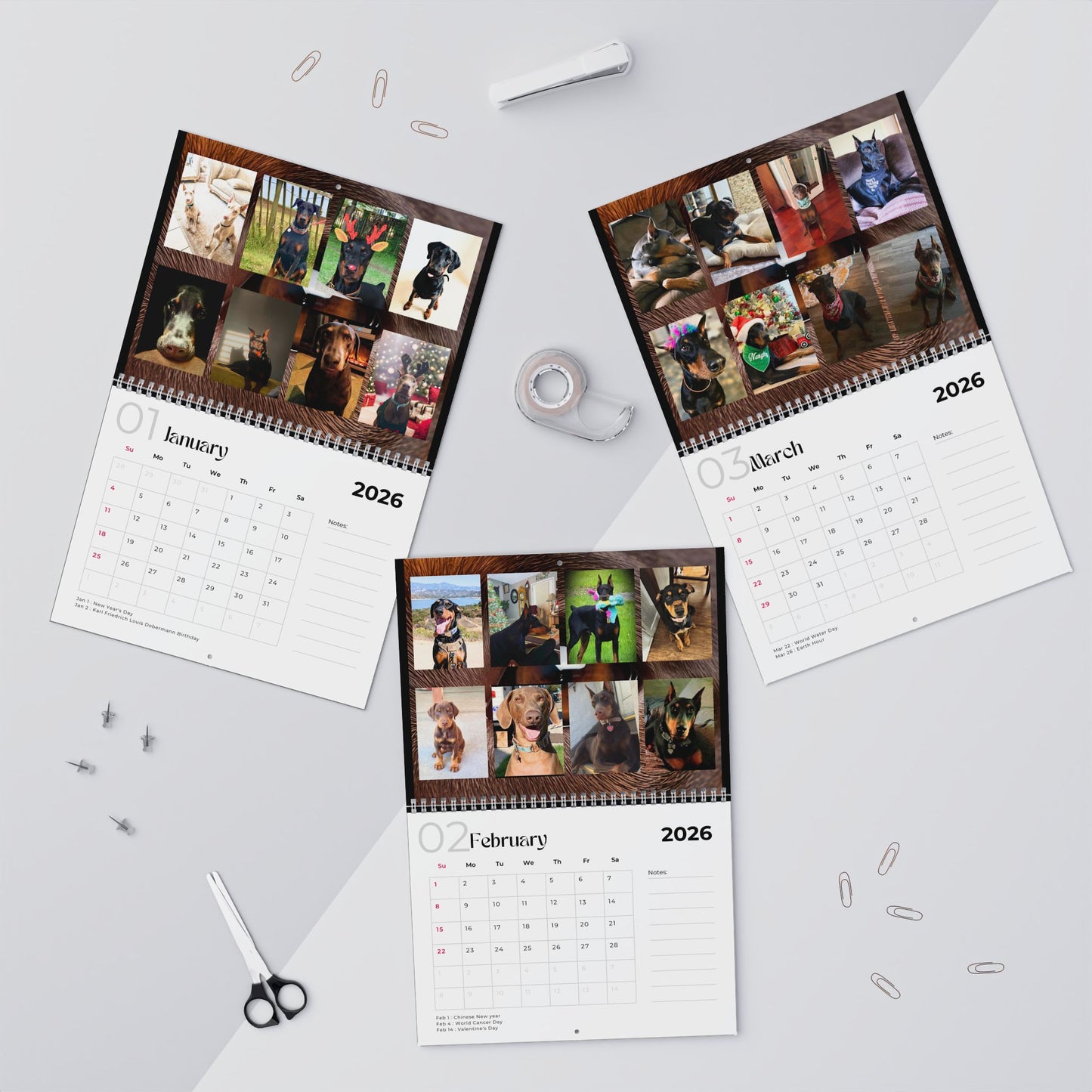 Edition 11 2026 Doberman Calendars