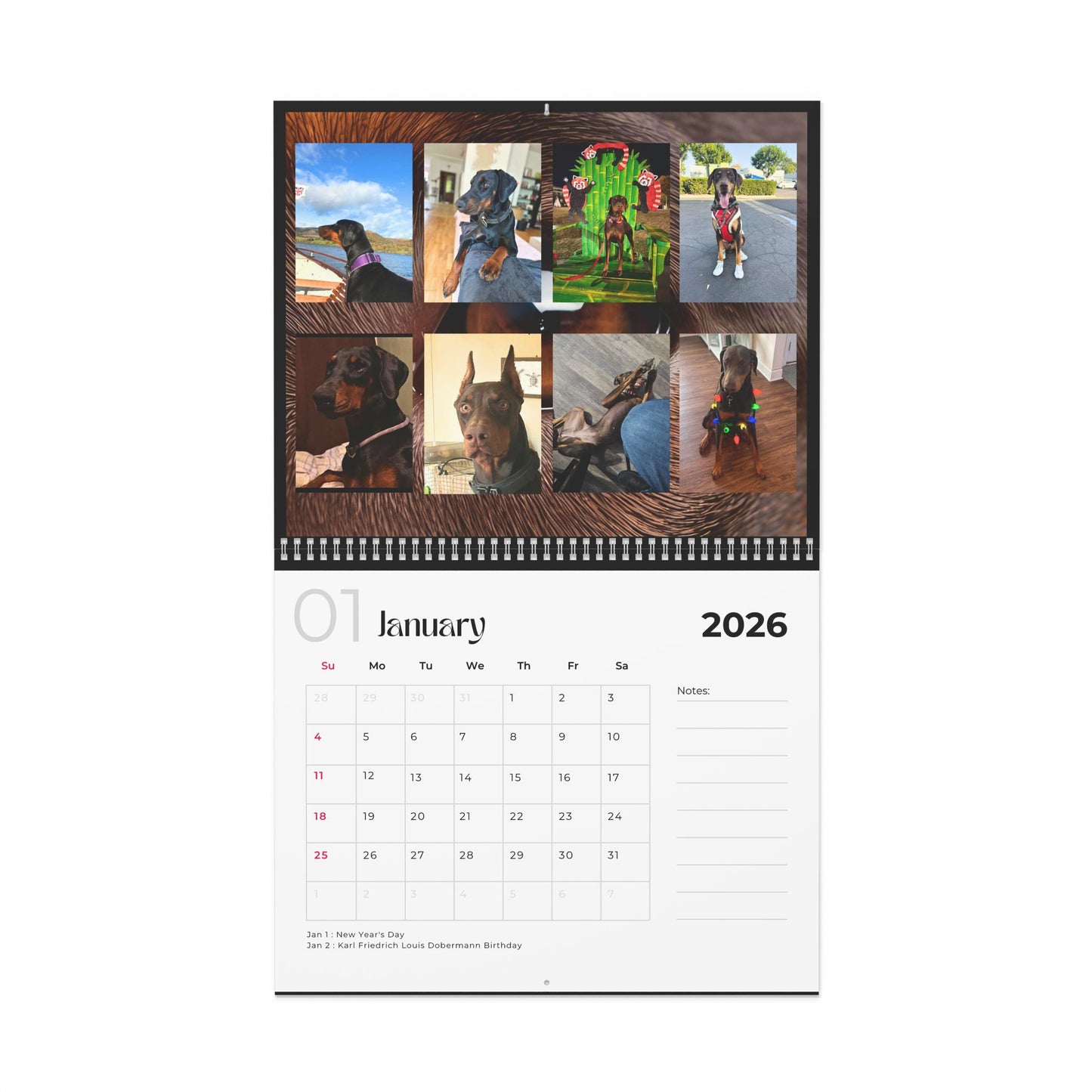 Edition 10 2026 Doberman Calendars