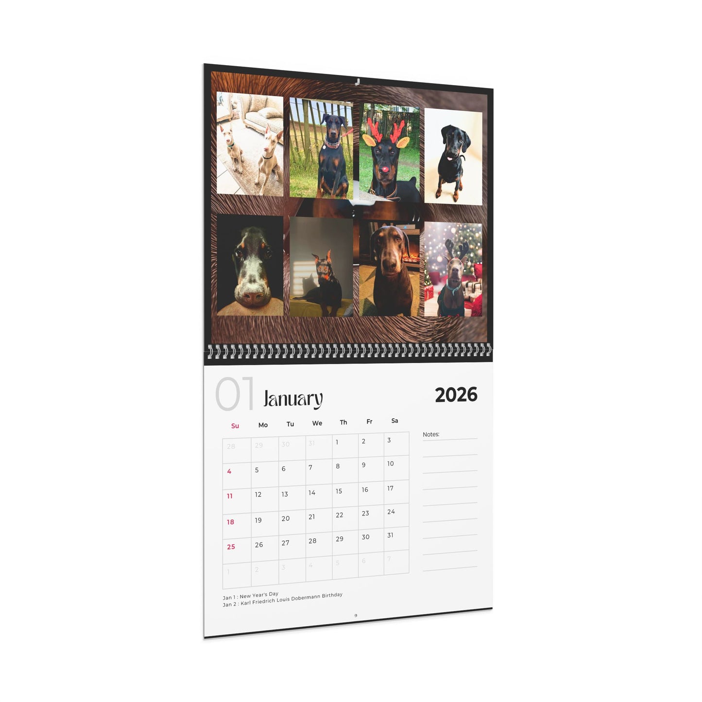 Edition 11 2026 Doberman Calendars