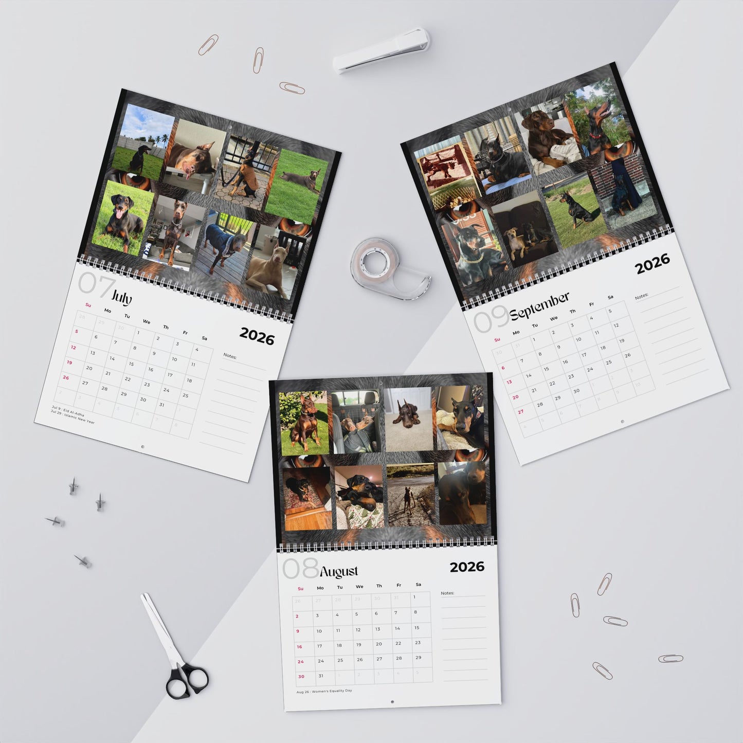 Edition 31 2026 Doberman Calendars