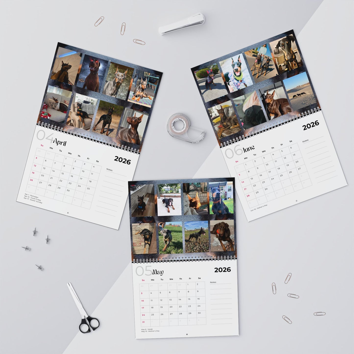 Edition 22 2026 Doberman Calendars