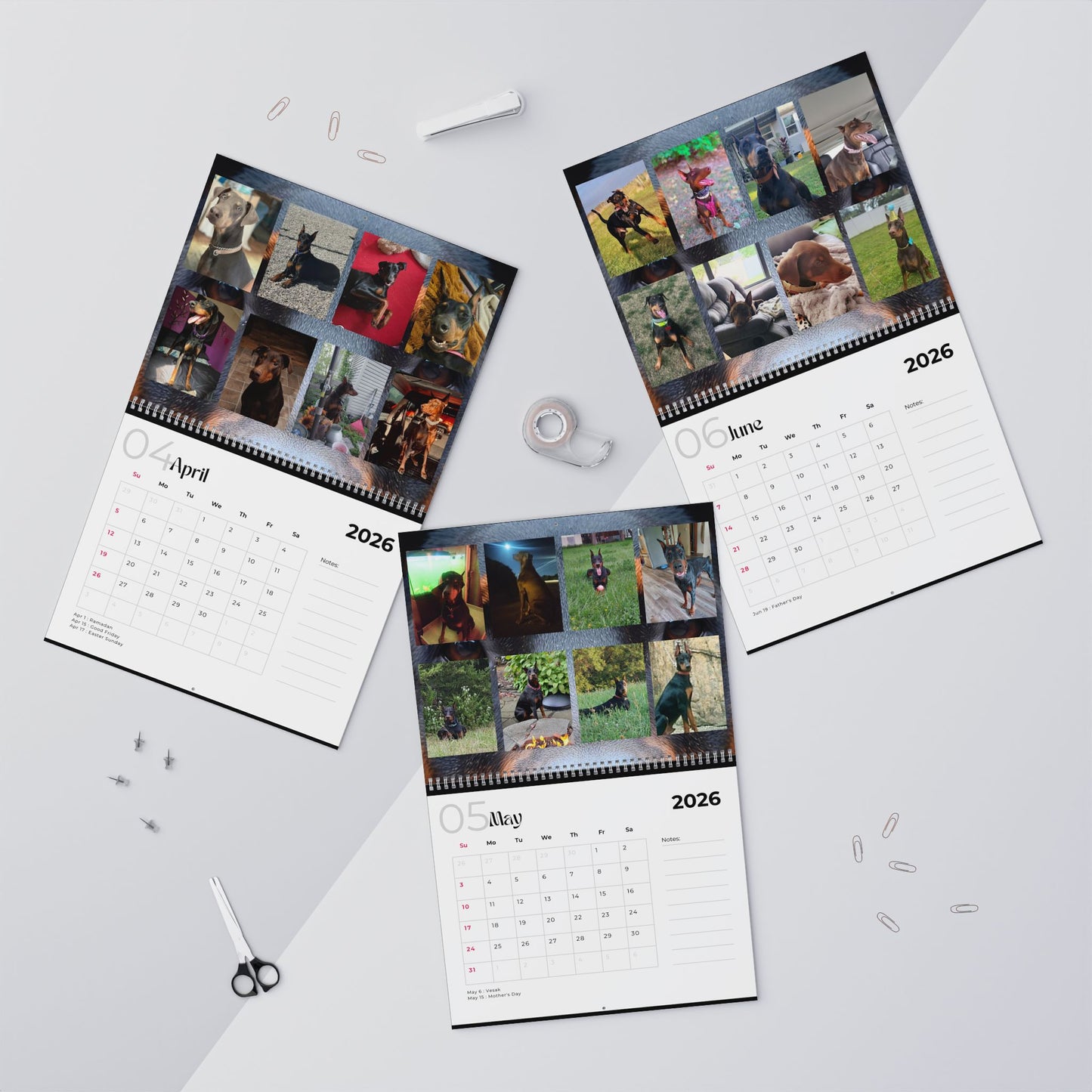 Edition 23 2026 Doberman Calendars