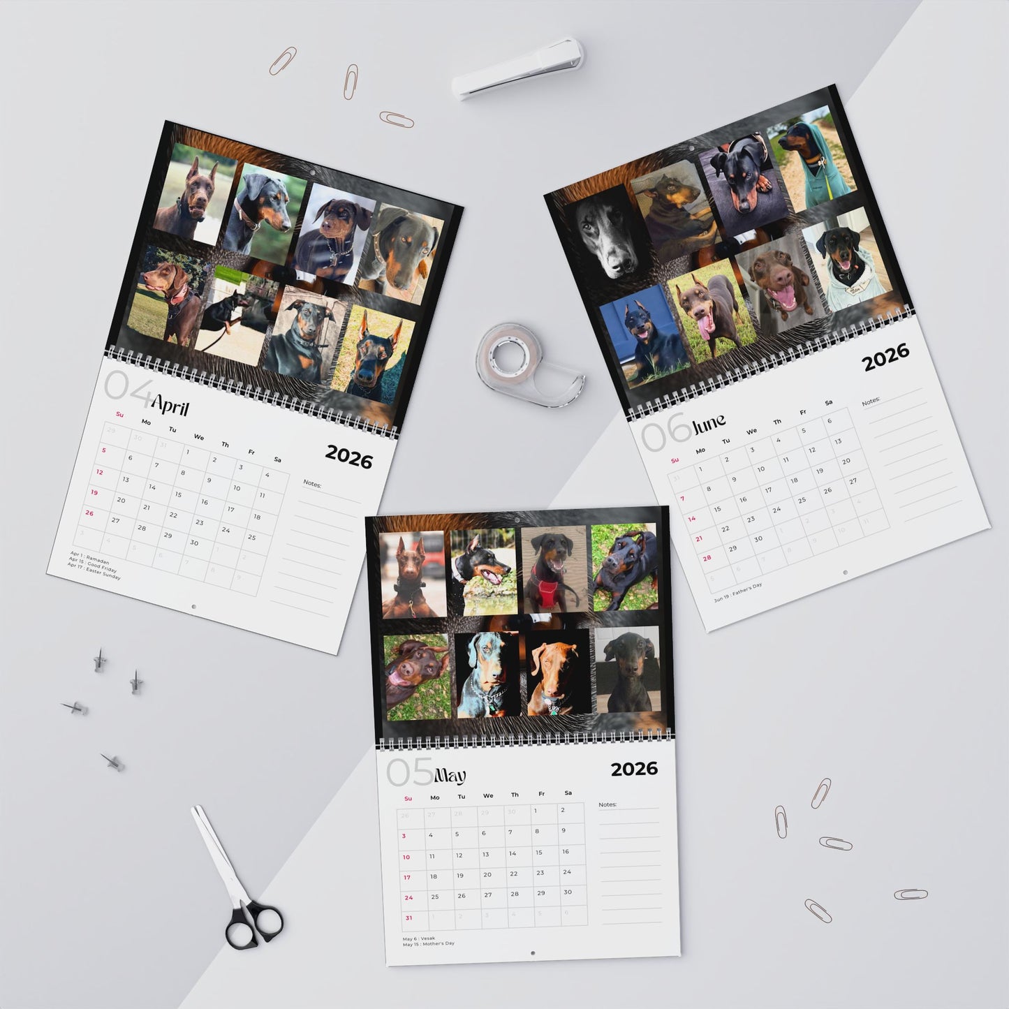 Edition 5 2026 Doberman Calendars