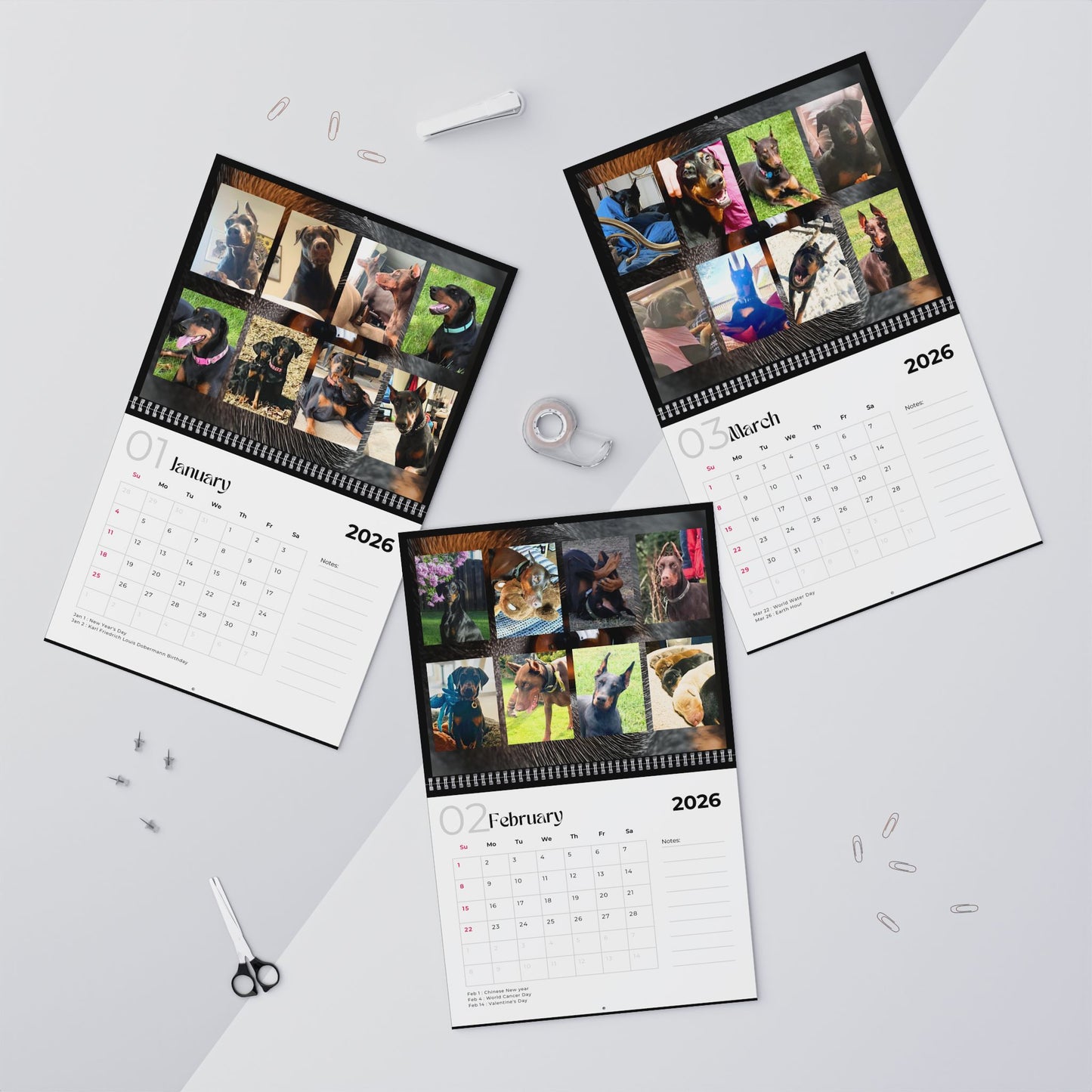 Edition 5 2026 Doberman Calendars