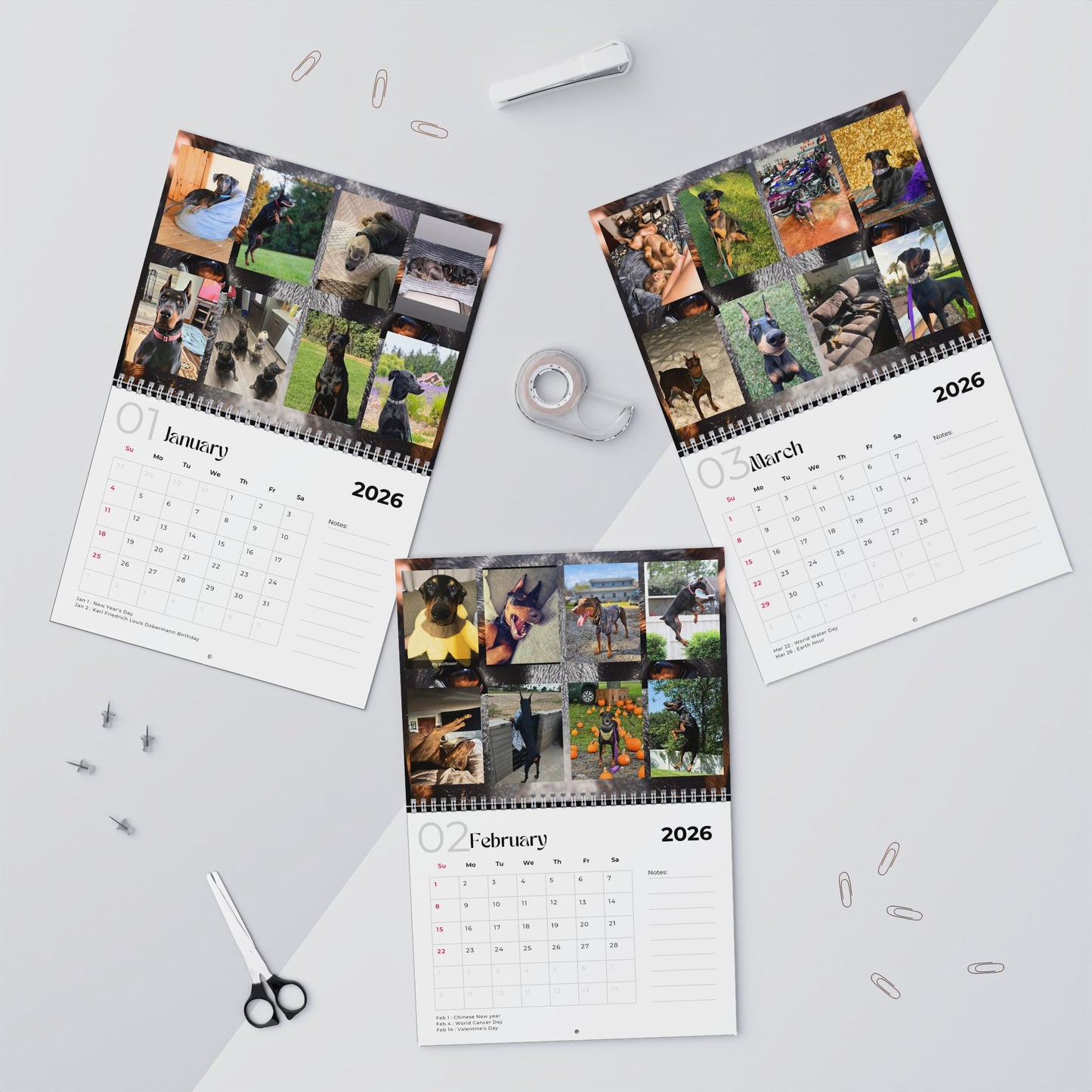 Edition 17 2026 Doberman Calendars