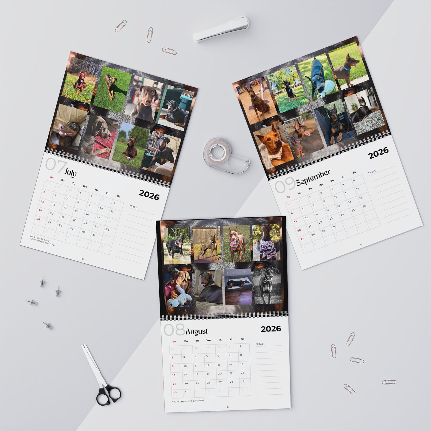 Edition 16 2026 Doberman Calendars
