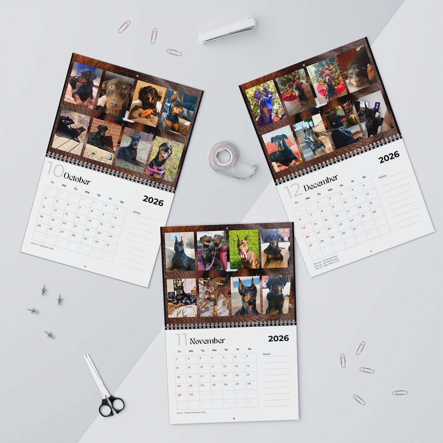 Edition 8 2026 Doberman Calendars