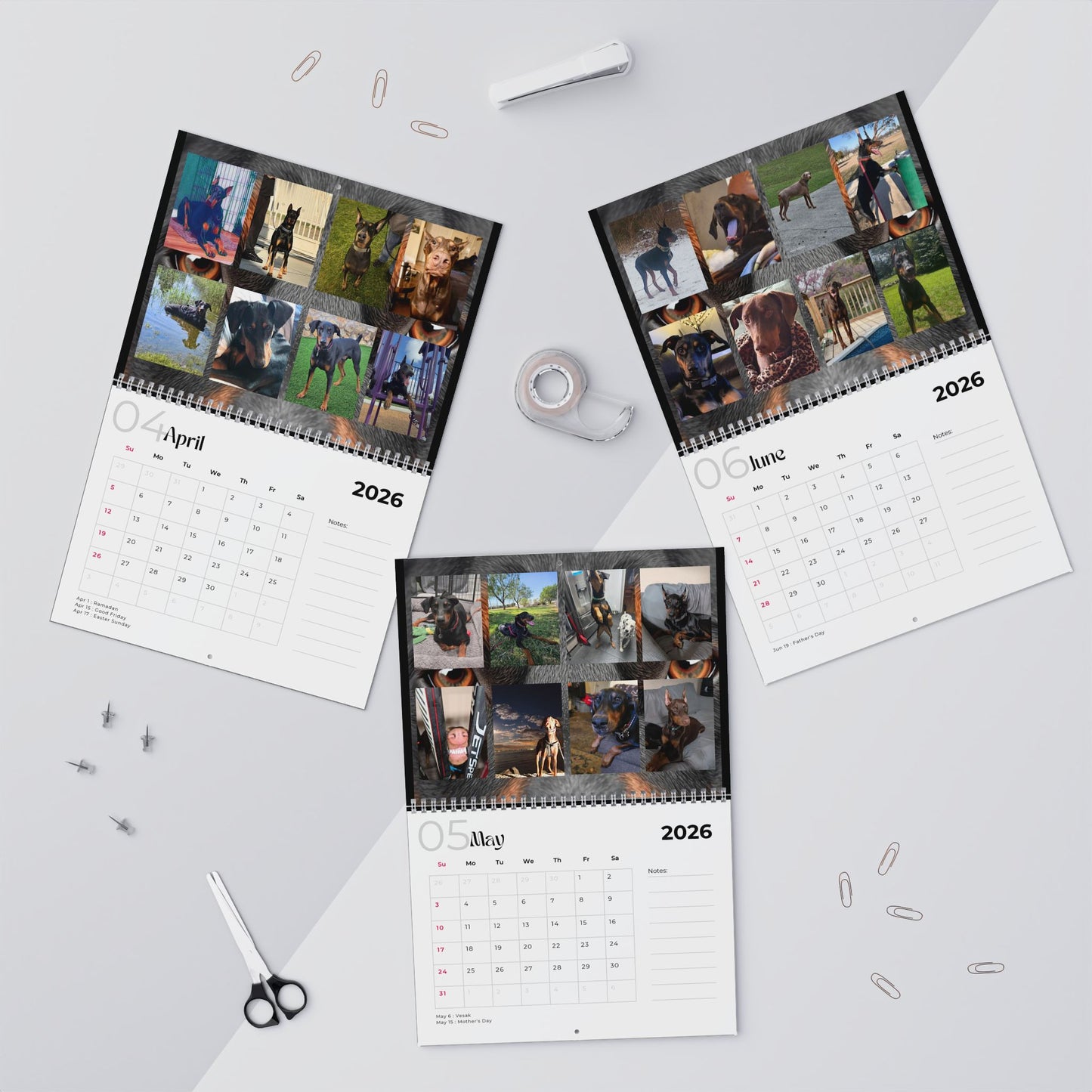 Edition 30 2026 Doberman Calendars