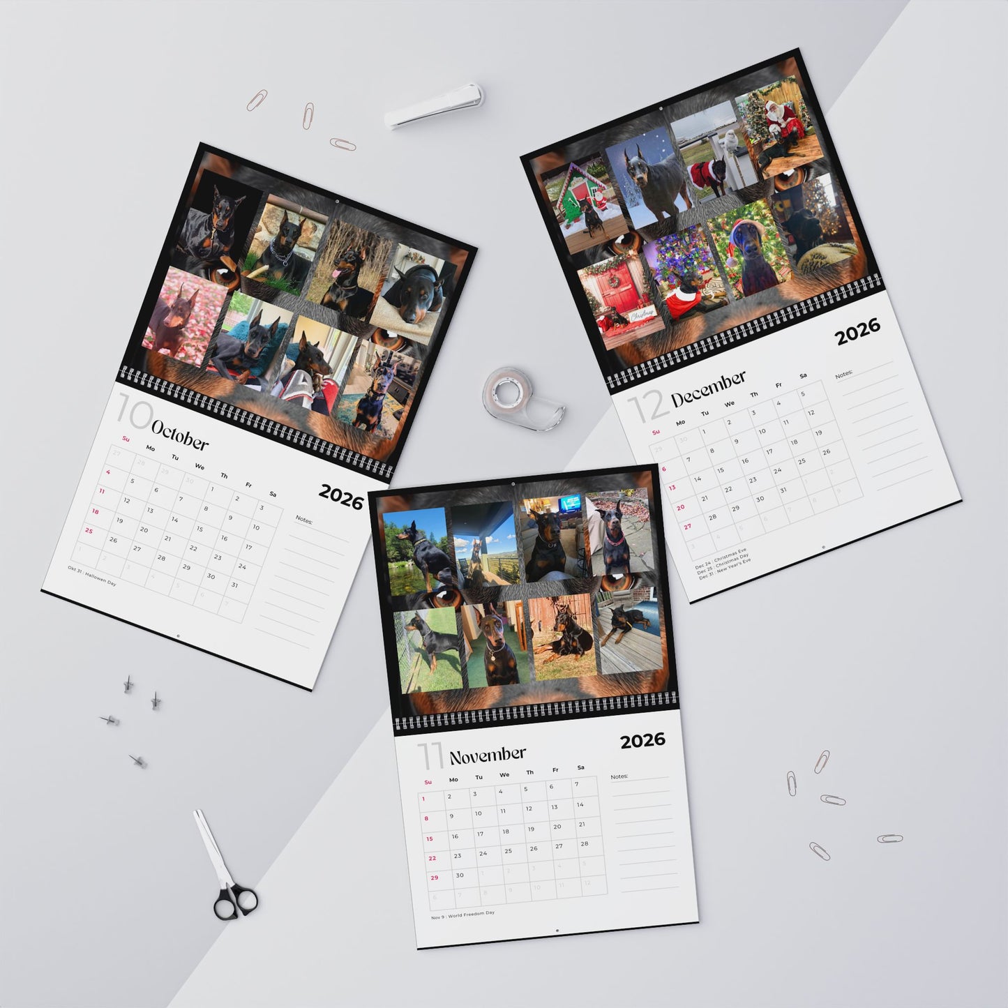 Edition 26 2026 Doberman Calendars
