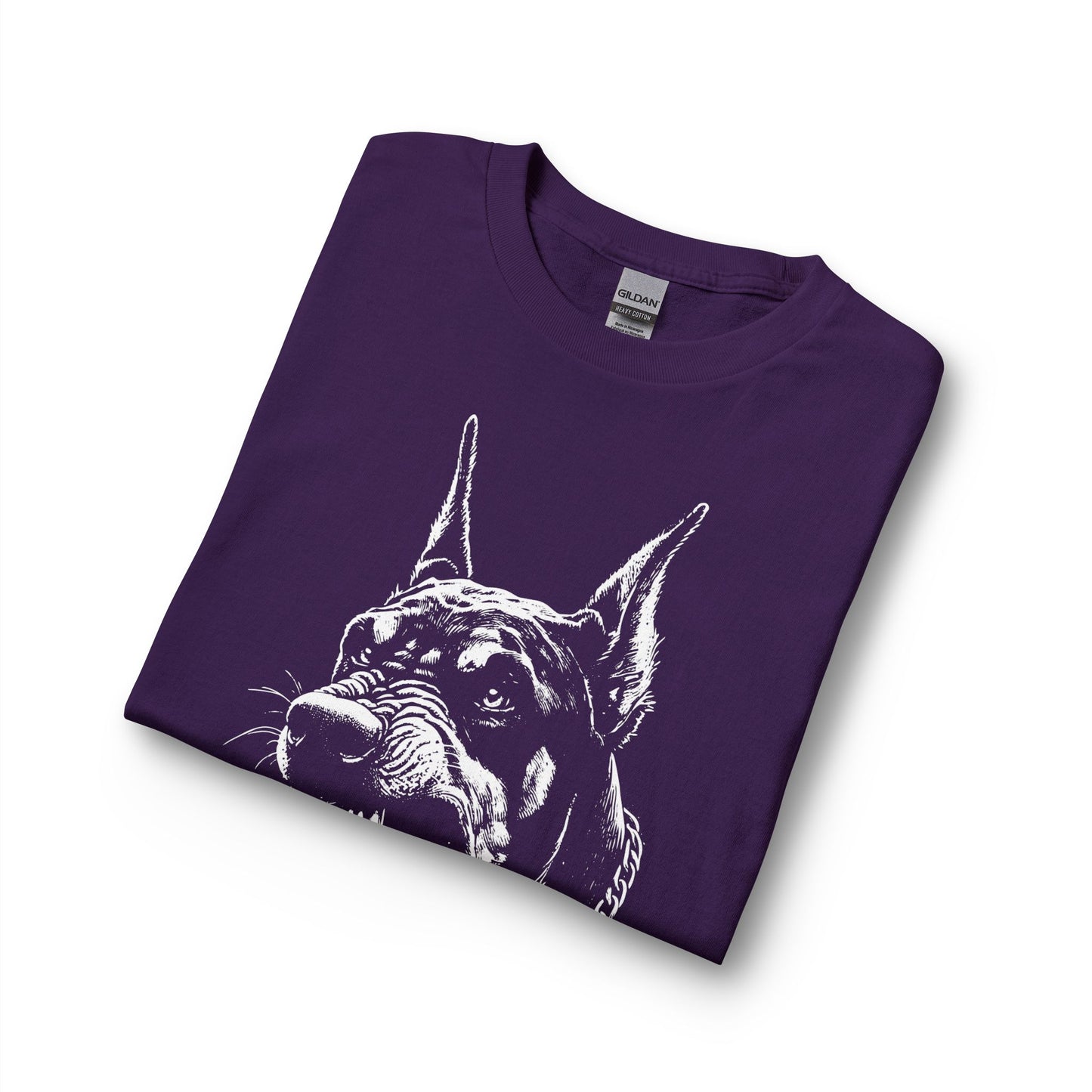 Protect 1  Long Sleeve Tee — Festive Doberman