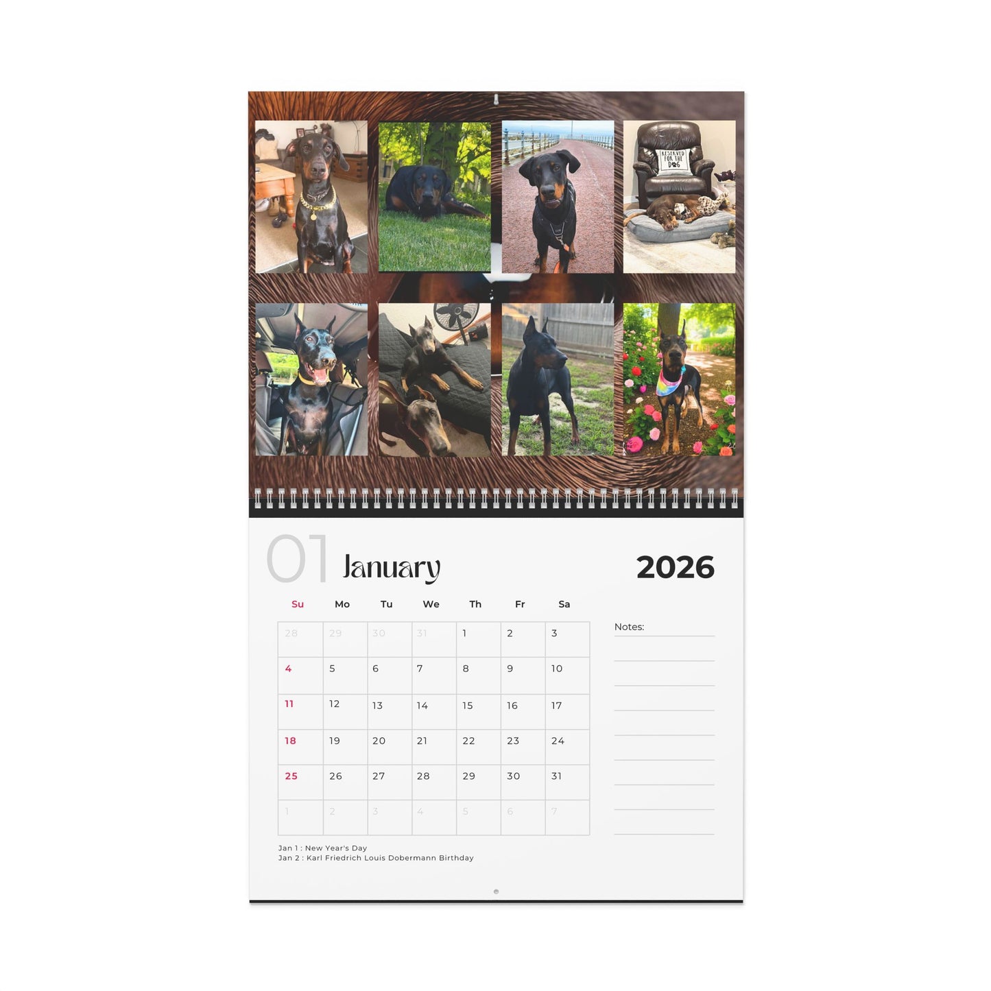 Edition 9 2026 Doberman Calendars