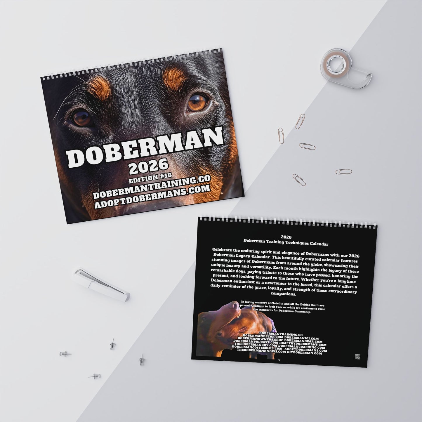 Edition 16 2026 Doberman Calendars