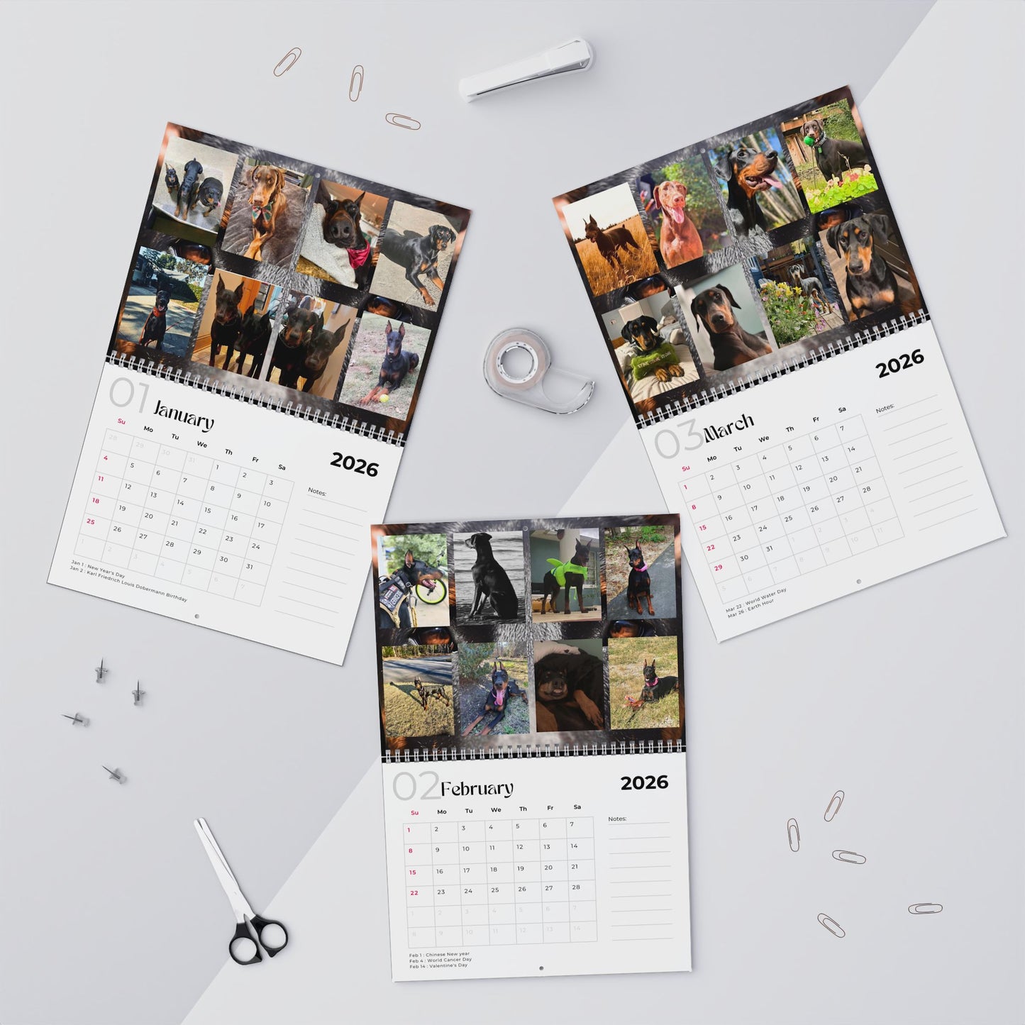 Edition 16 2026 Doberman Calendars