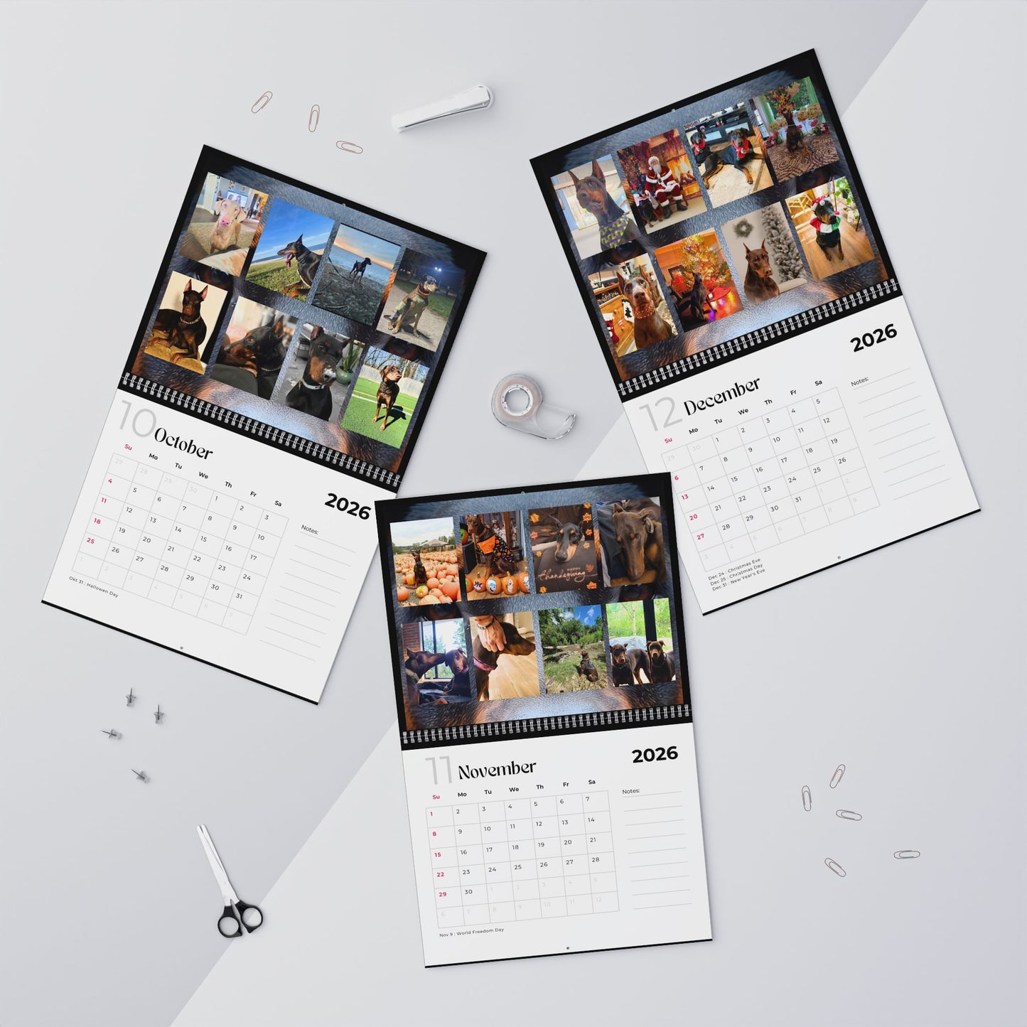 Edition 24 2026 Doberman Calendars