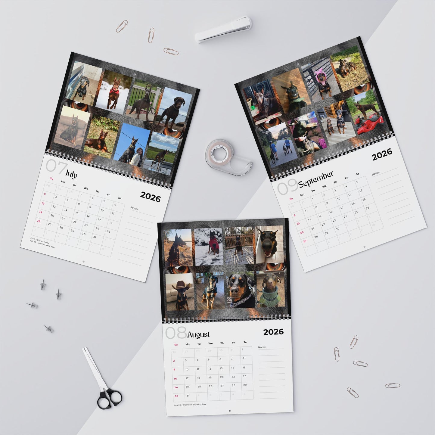 Edition 30 2026 Doberman Calendars