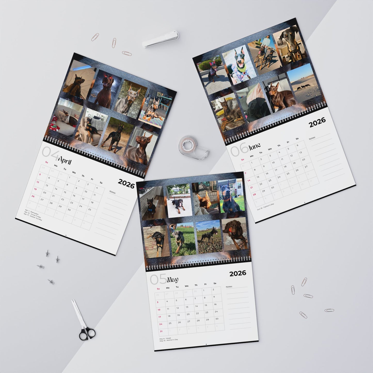 Edition 22 2026 Doberman Calendars