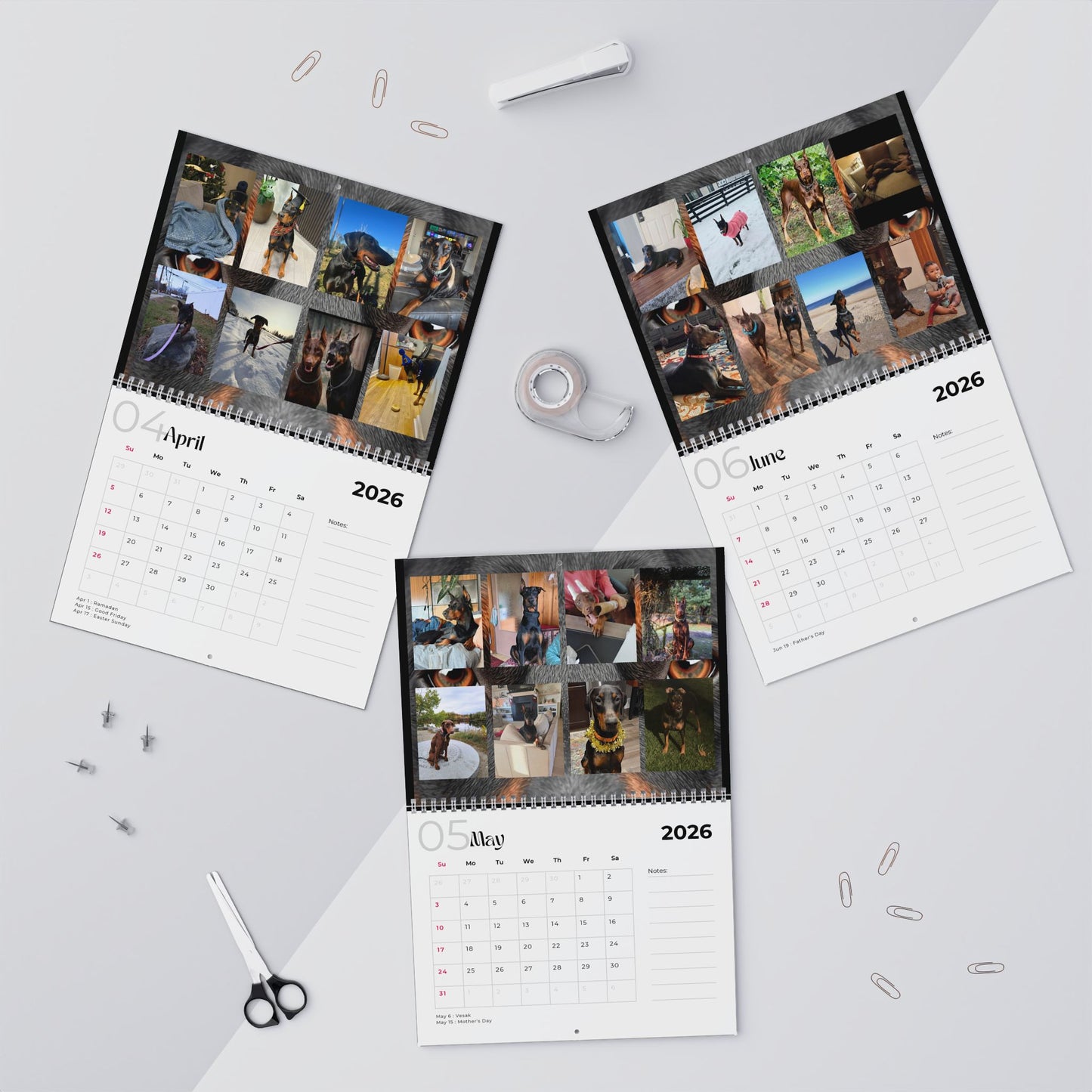 Edition 29 2026 Doberman Calendars