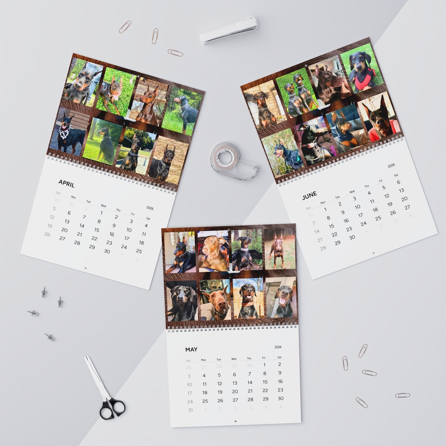 Doberman Edition 7  Wall Calendar 2026