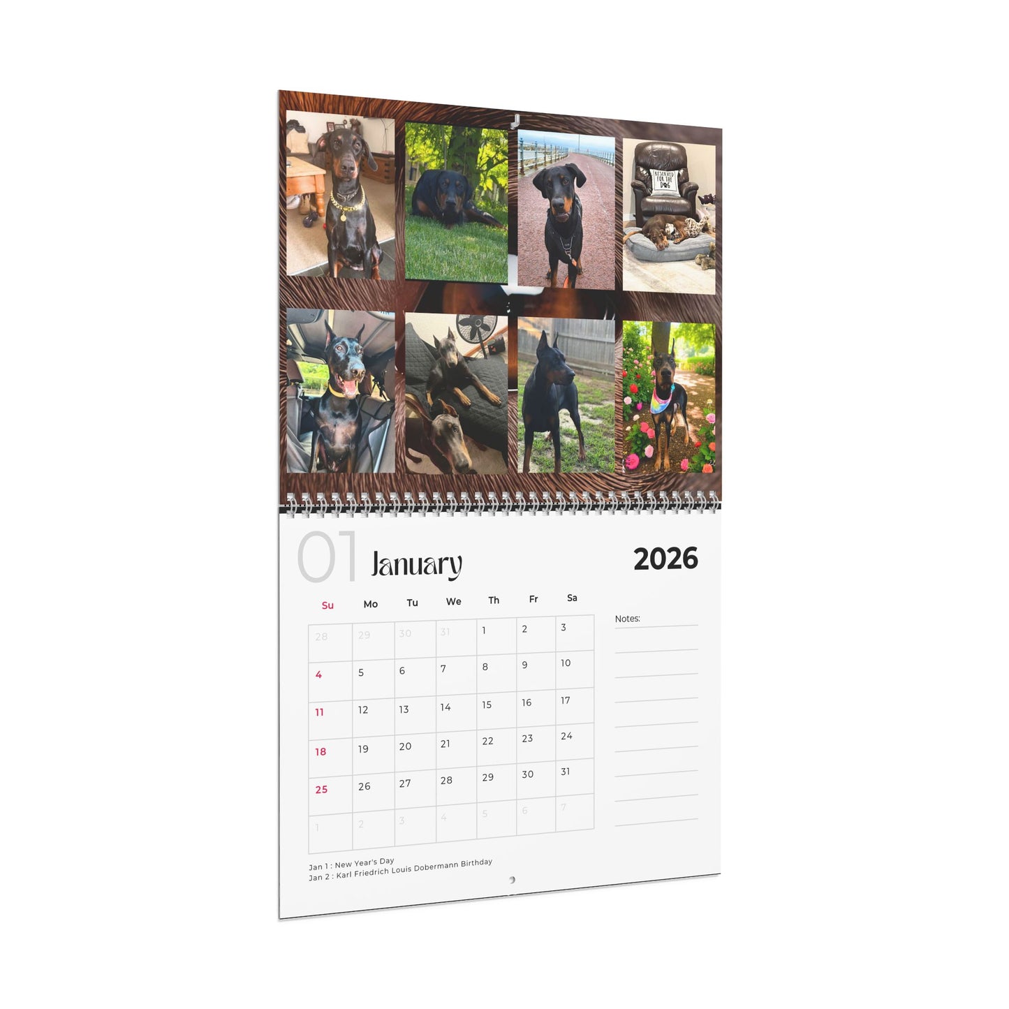 Edition 9 2026 Doberman Calendars