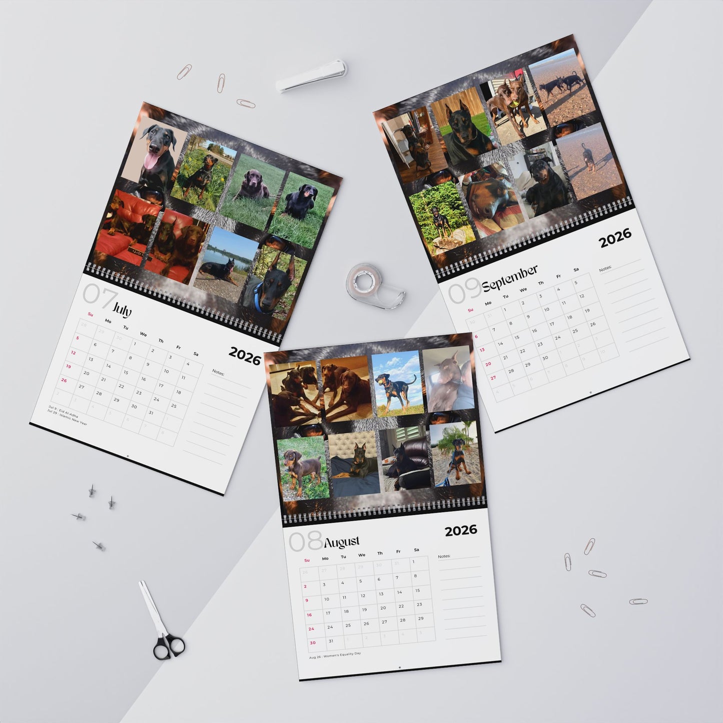 Edition 17 2026 Doberman Calendars