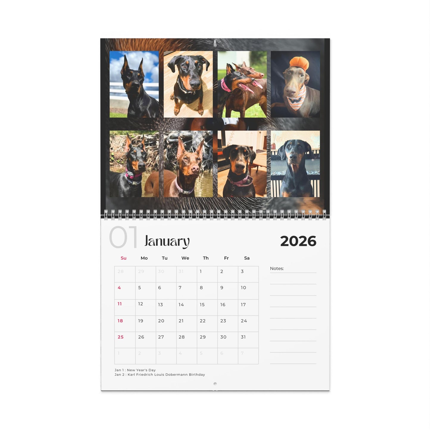Edition 4 2026 Doberman Calendars