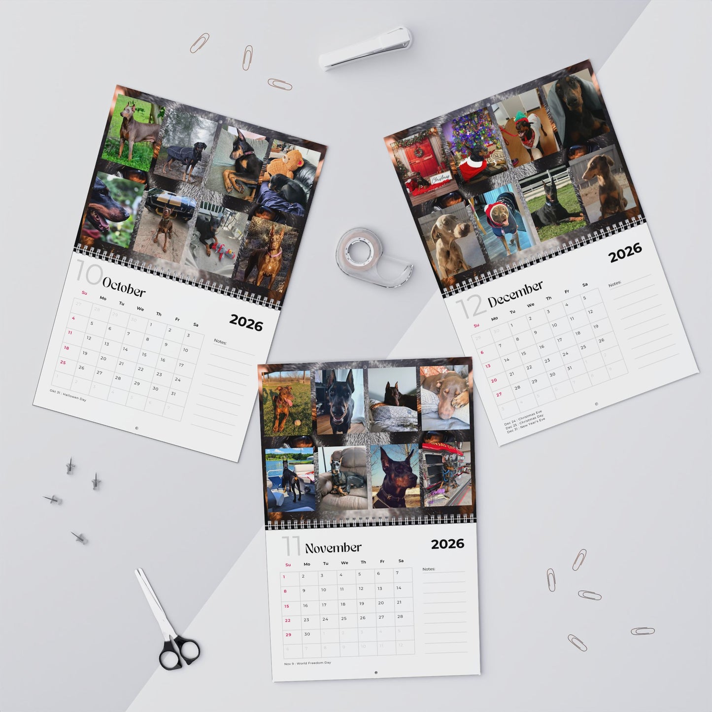 Edition 17 2026 Doberman Calendars