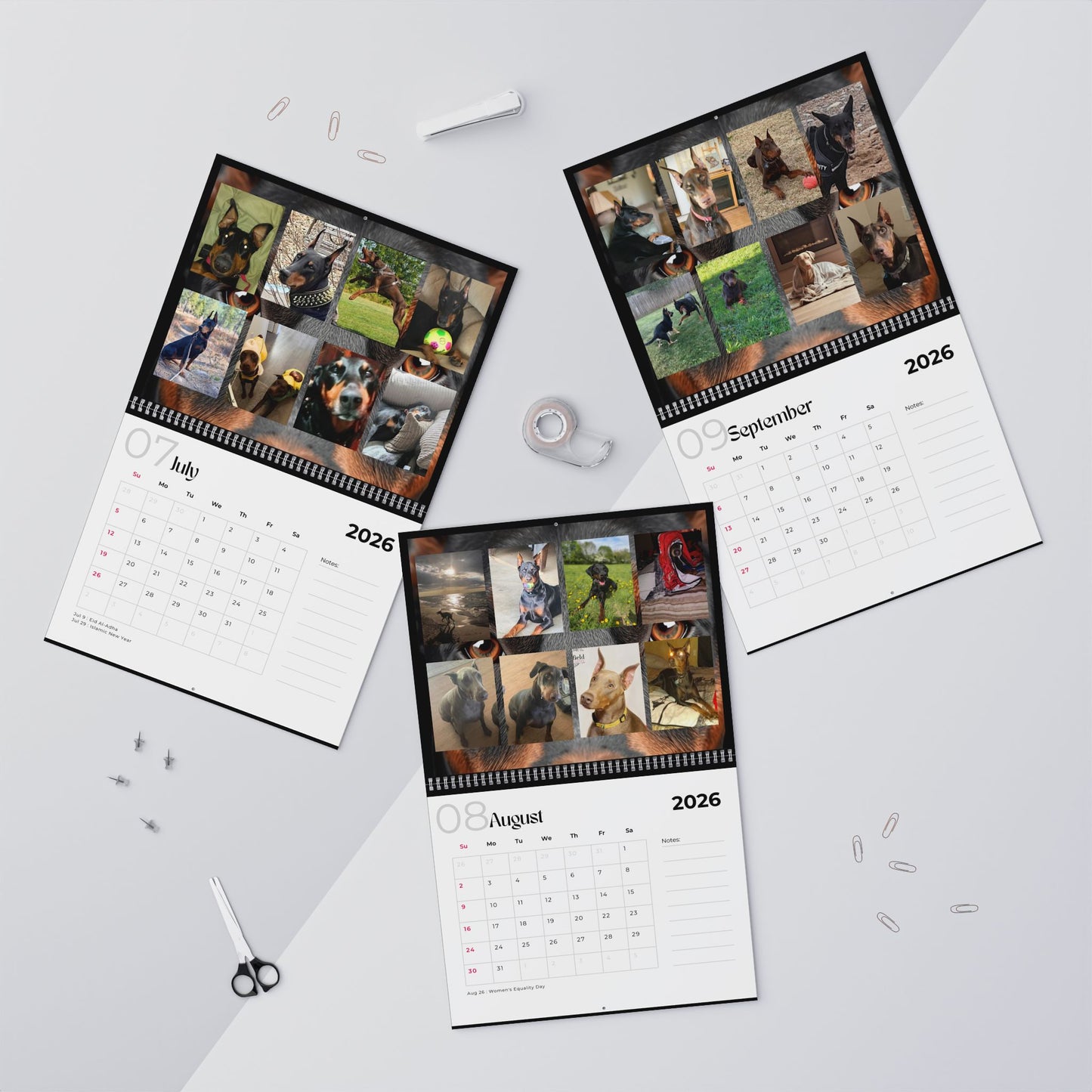 Edition 27 2026 Doberman Calendars