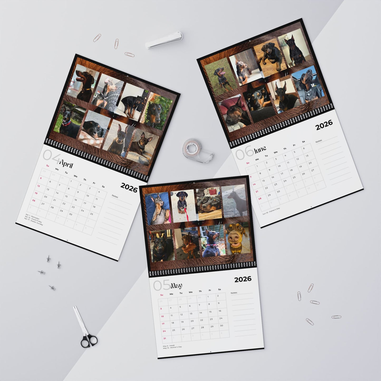 Edition 6 2026 Doberman Calendars