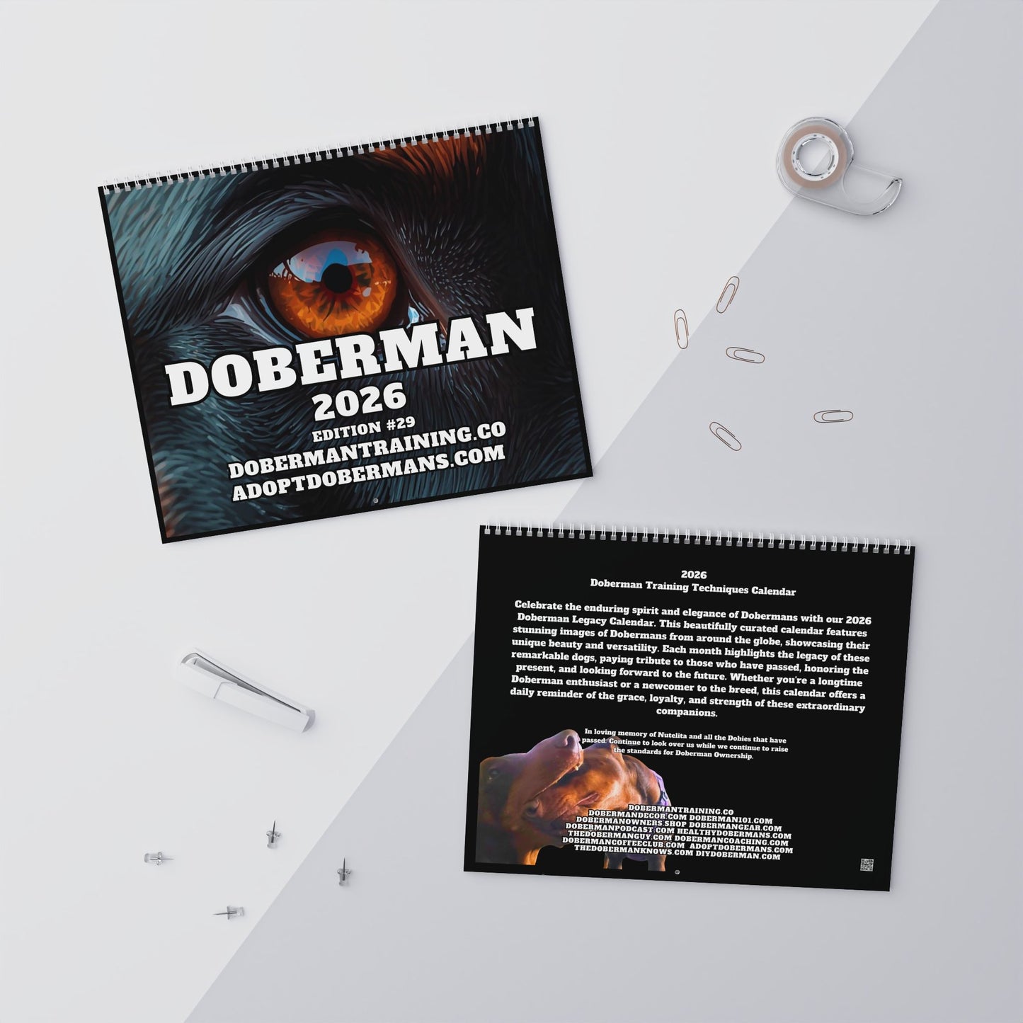 Edition 29 2026 Doberman Calendars
