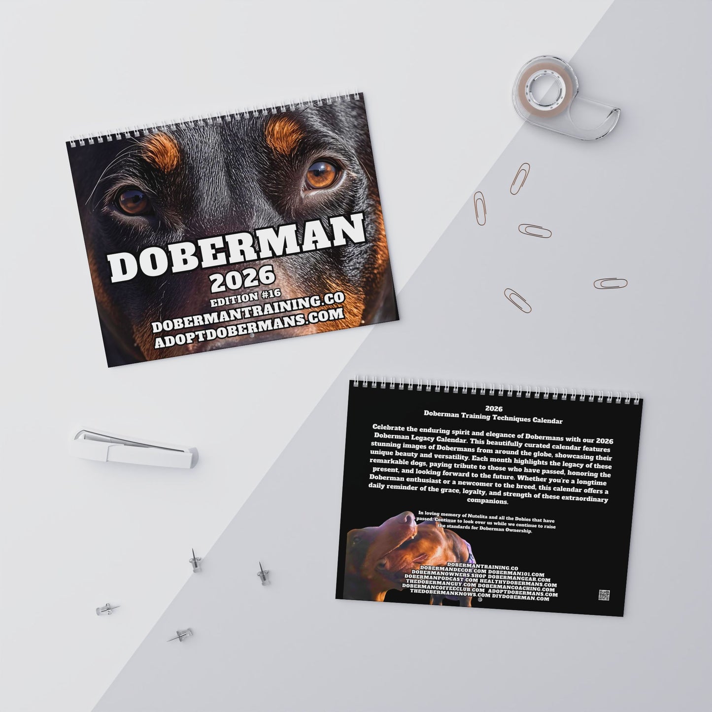 Edition 16 2026 Doberman Calendars