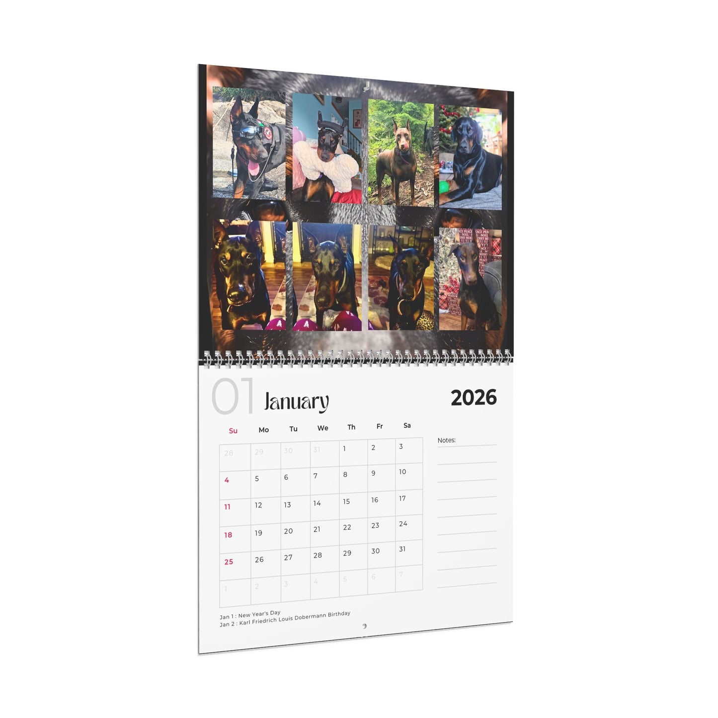Edition 15 2026 Doberman Calendars