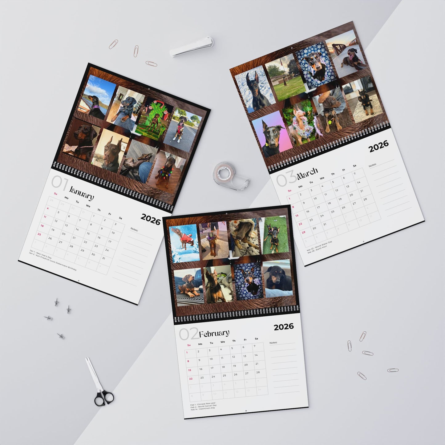 Edition 10 2026 Doberman Calendars