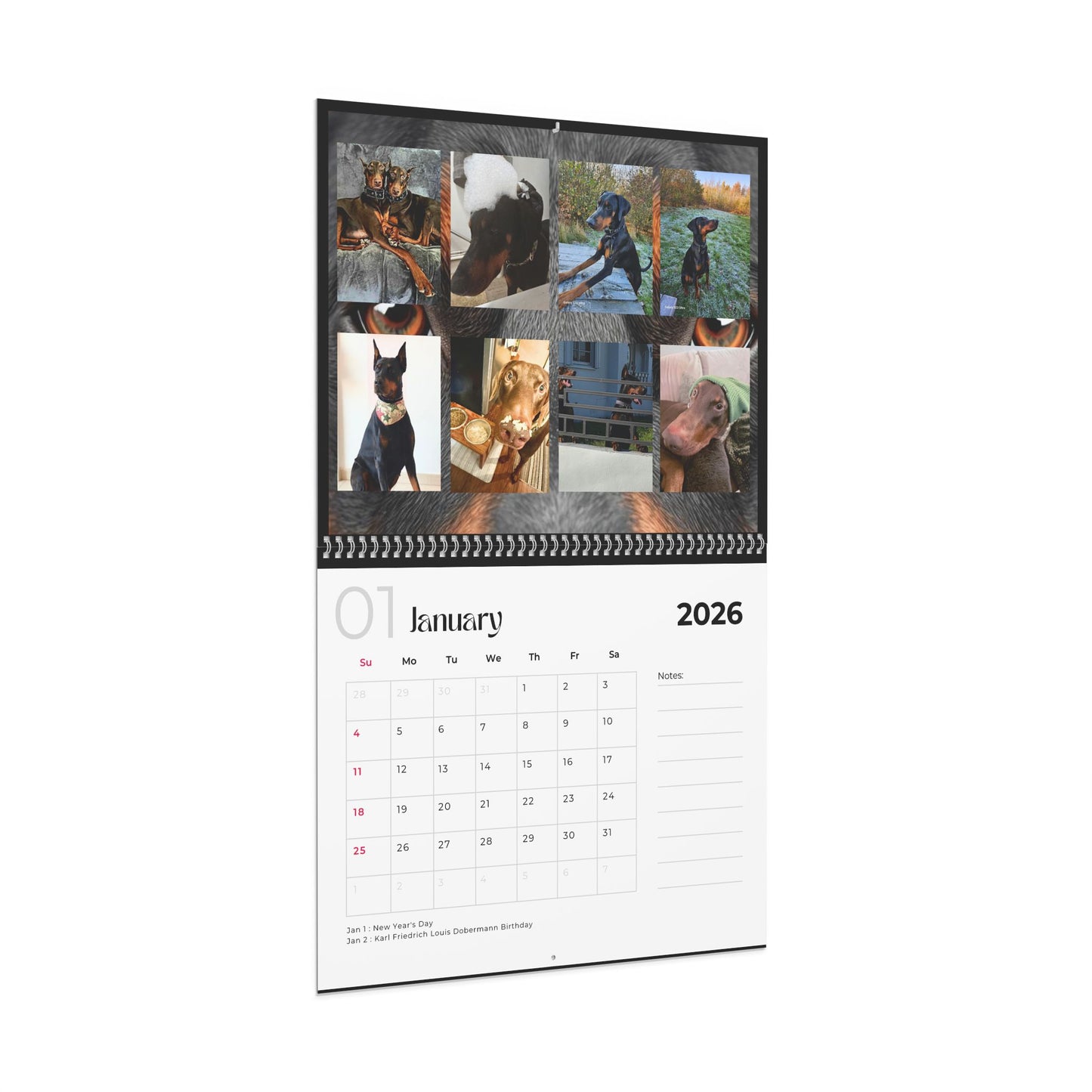 Edition 29 2026 Doberman Calendars