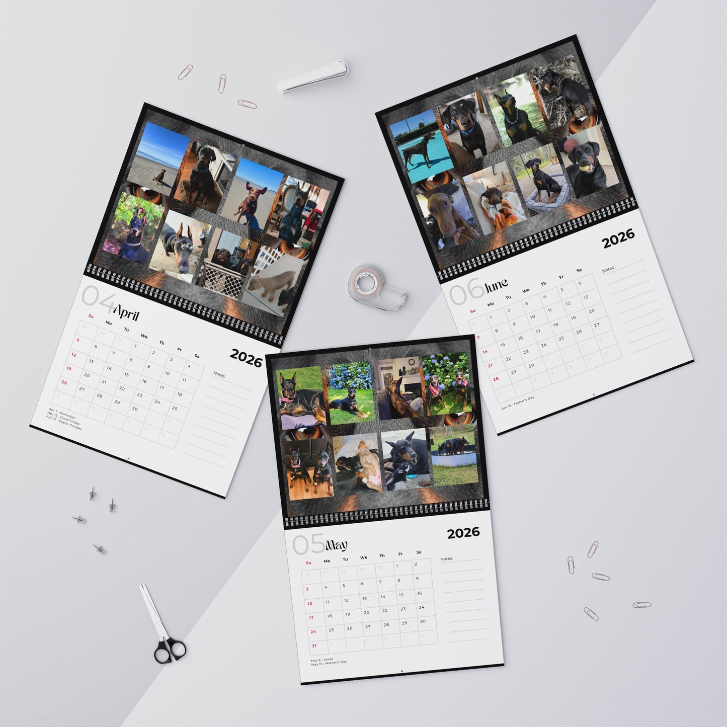 Edition 31 2026 Doberman Calendars