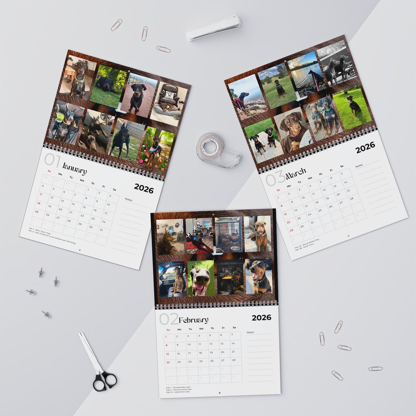 Edition 9 2026 Doberman Calendars