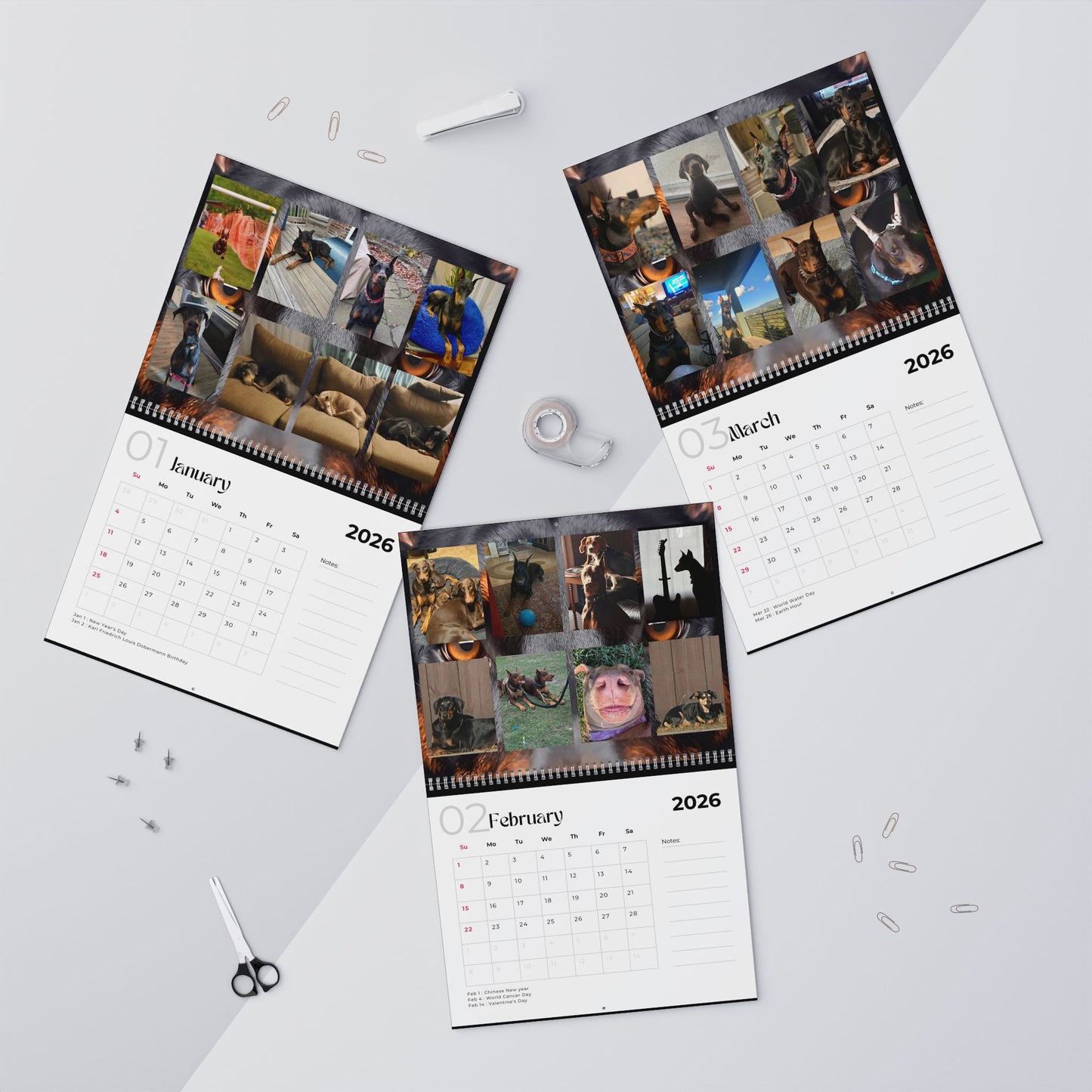 Edition 19 2026 Doberman Calendars