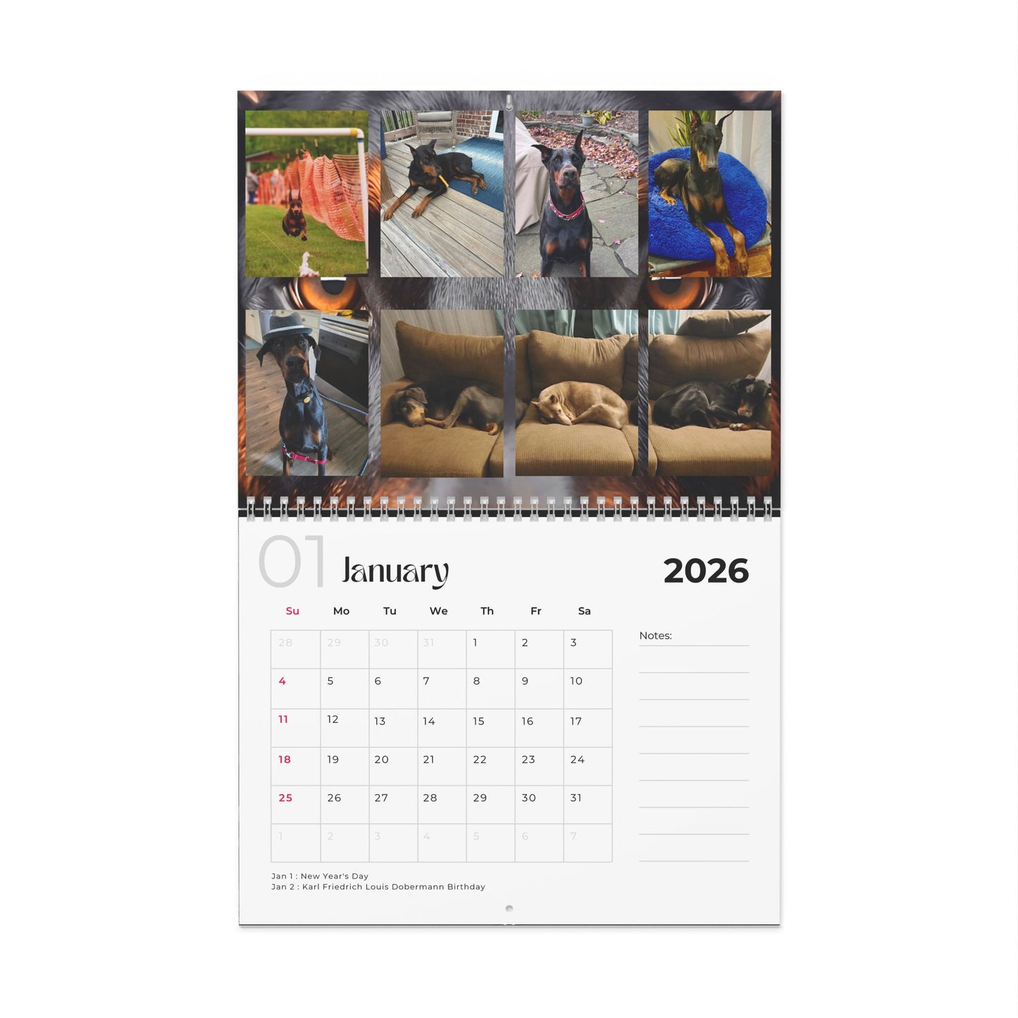Edition 19 2026 Doberman Calendars