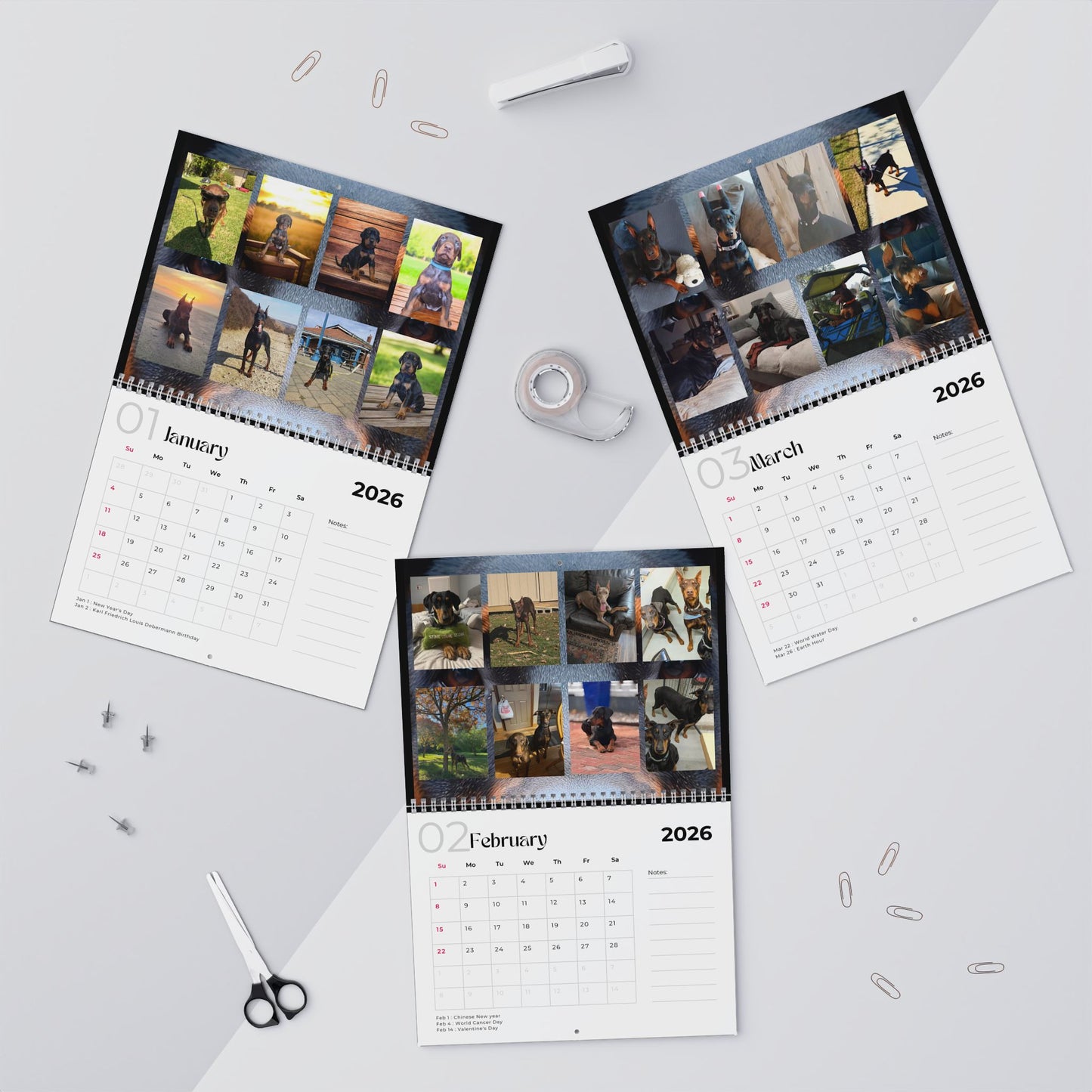 Edition 20 2026 Doberman Calendars