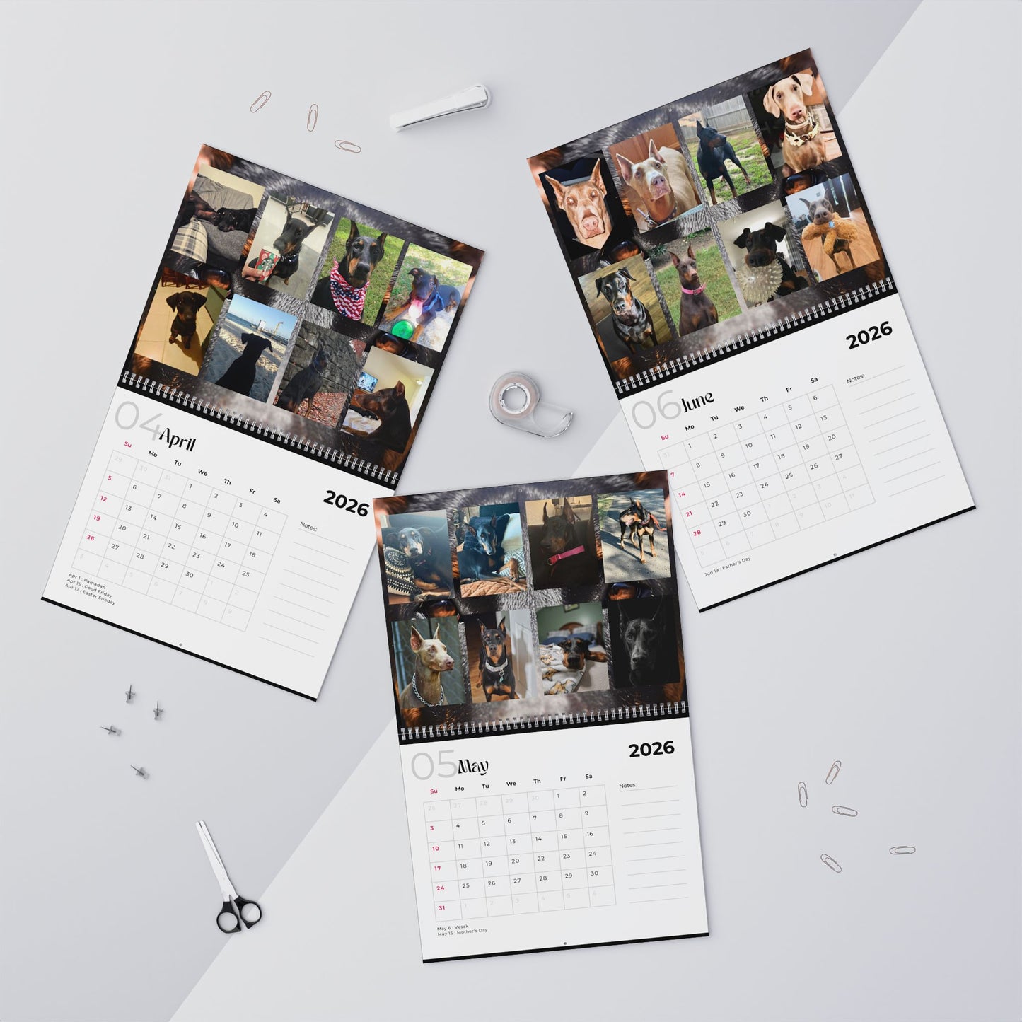 Edition 15 2026 Doberman Calendars